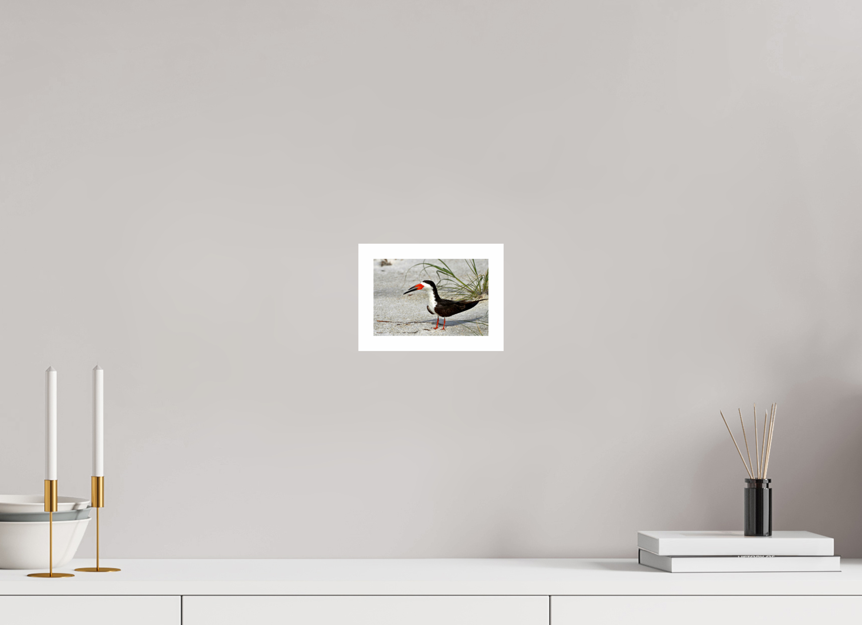 6 x 4″, Hahnemühle FineArt Pearl Print, .79" white border Sand & Black Skimmer