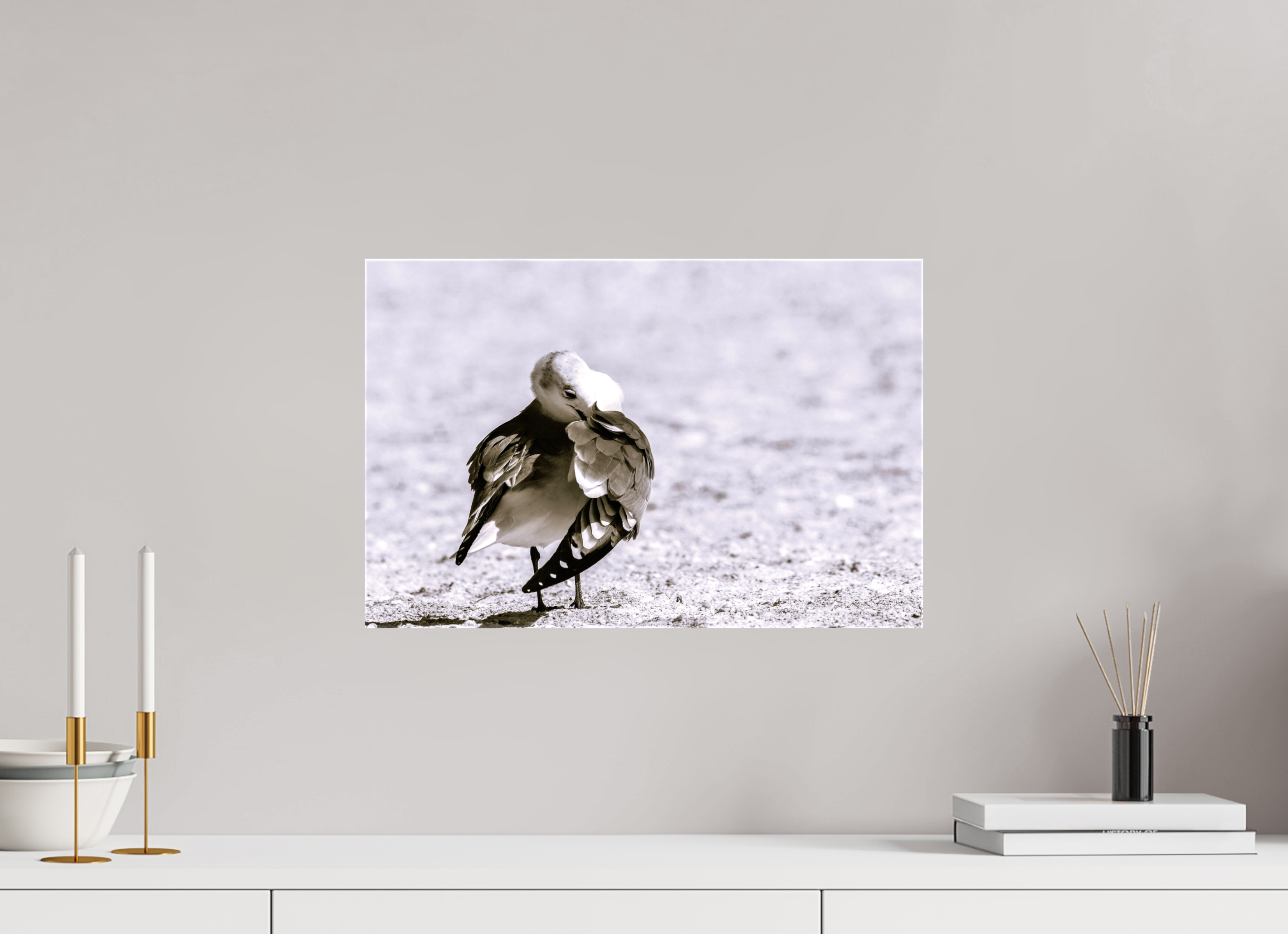 18.3 x 12″, Glossy Canvas on Stretcher Frame, 1,57" Wrapped Preening Gull