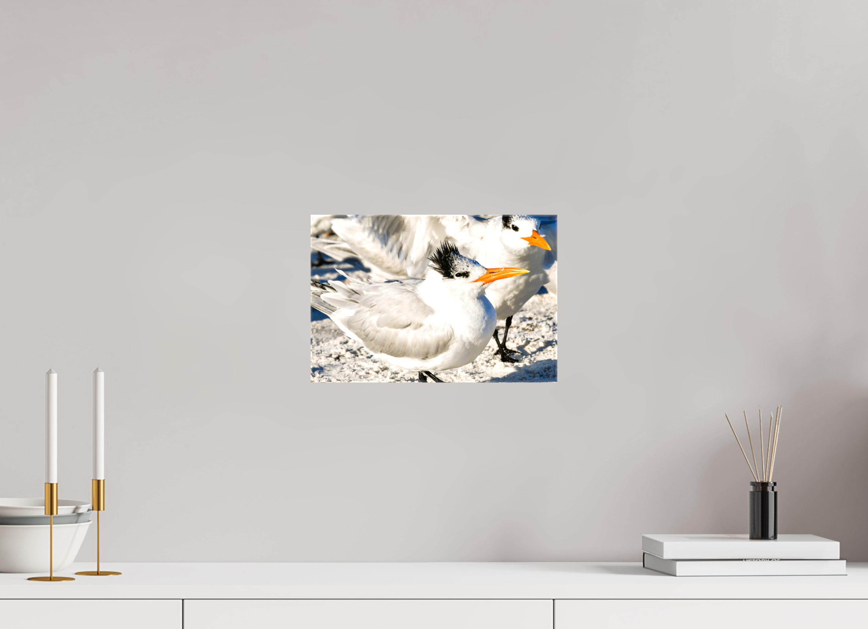 11.9 x 8″, Glossy Canvas on Stretcher Frame, 1,57" Wrapped Coastal Royalty