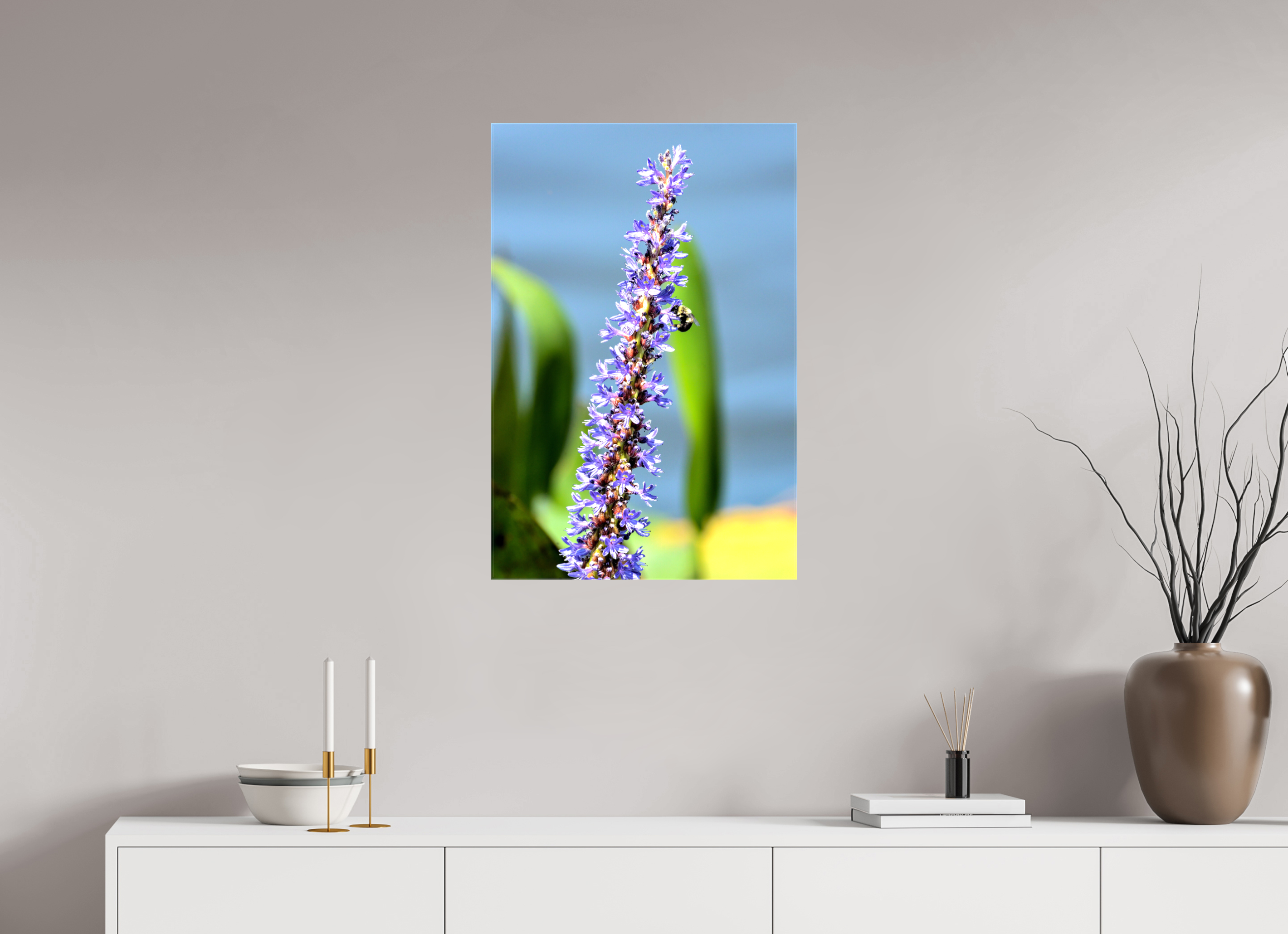 20 x 30″, Glossy Canvas on Stretcher Frame, 1,57" Wrapped Bloom & Buzz