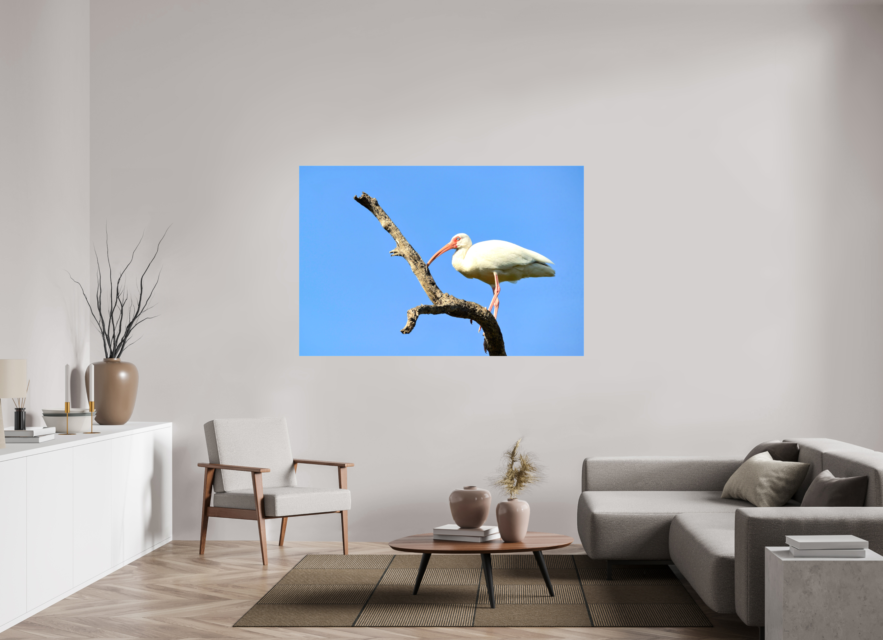 66 x 44″, Glossy Canvas on Stretcher Frame, 1,57" Wrapped Azure Solitude: The American White Ibis