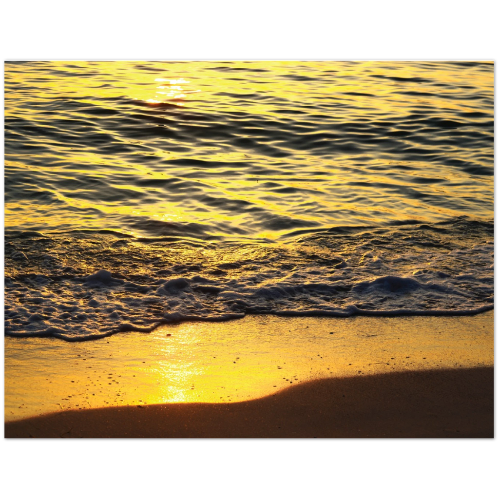 62d64284-dbf0-44e4-815d-4f5288a711f5