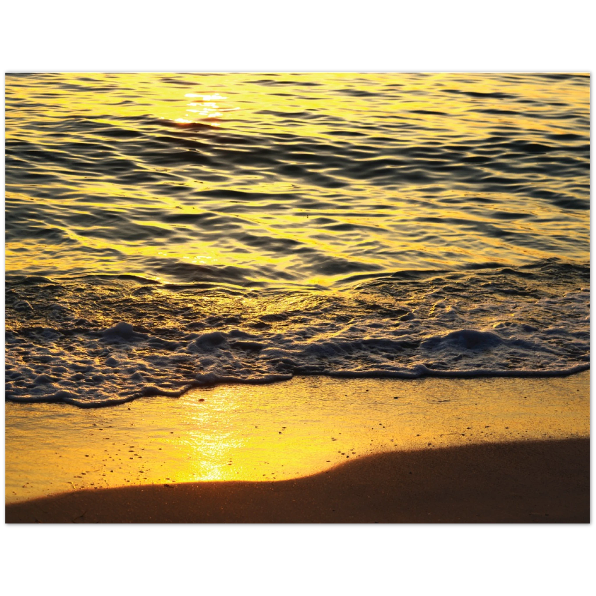 62d64284-dbf0-44e4-815d-4f5288a711f5