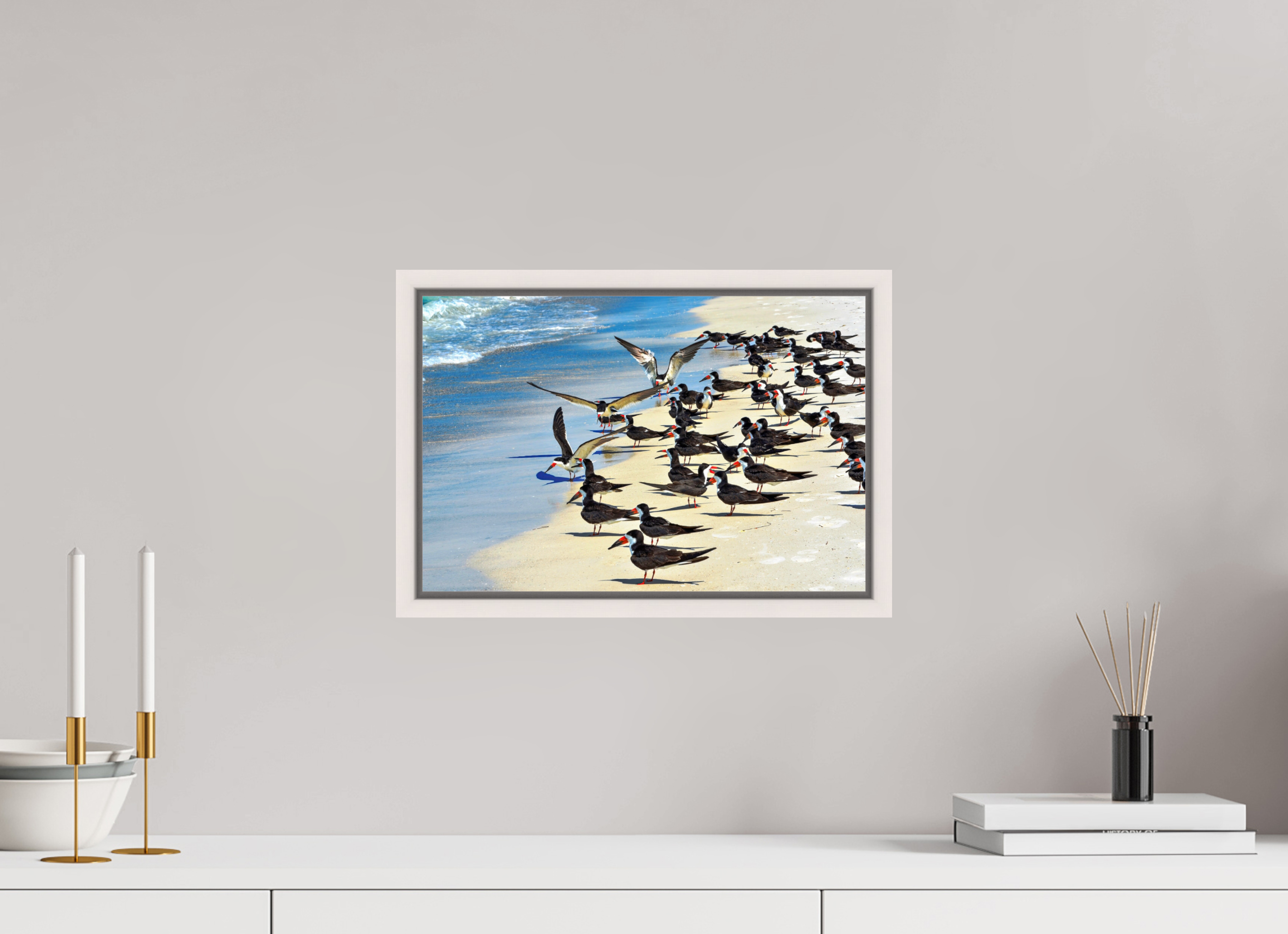 15 x 10″, Floater Frame, Basel 0.6", Maple White, Glossy Acrylic Glass Shoreline Social: Black Skimmer Colony