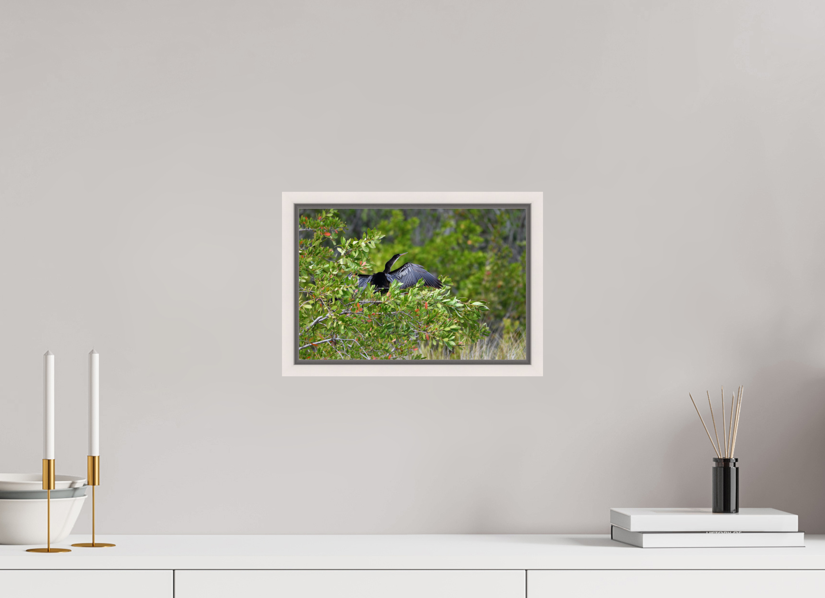 12 x 8″, Floater Frame, Basel 0.6", Maple White, Glossy Acrylic Glass Florida Anhinga Sunning