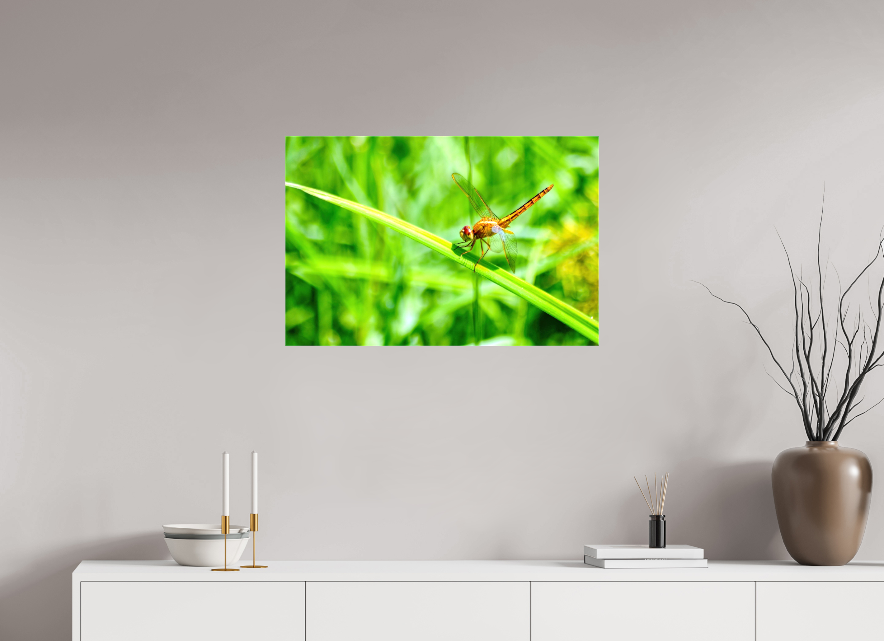 30 x 20″, Glossy Canvas on Stretcher Frame, 1,57" Wrapped Female Scarlet Skimmer