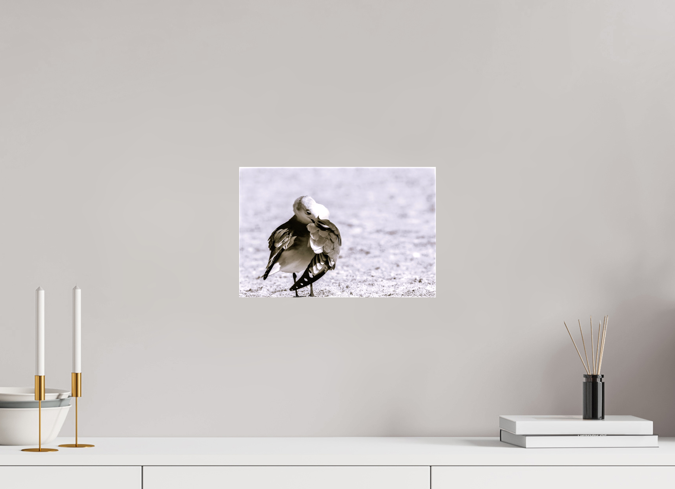 12.2 x 8″, Glossy Canvas on Stretcher Frame, 1,57" Wrapped Preening Gull