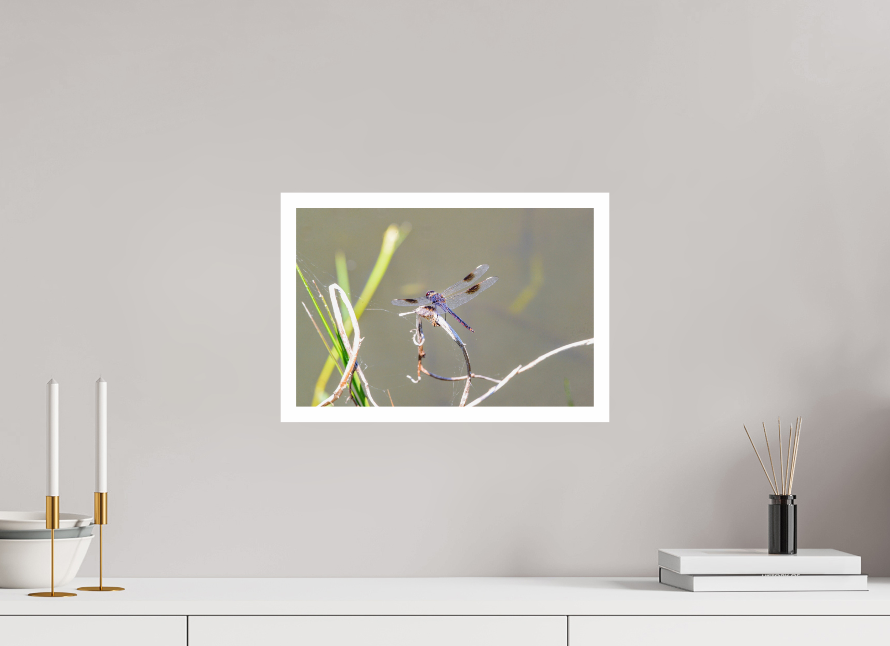 15 x 10″, Hahnemühle FineArt Pearl Print, .79" white border Pennant Dragonfly in the Marsh