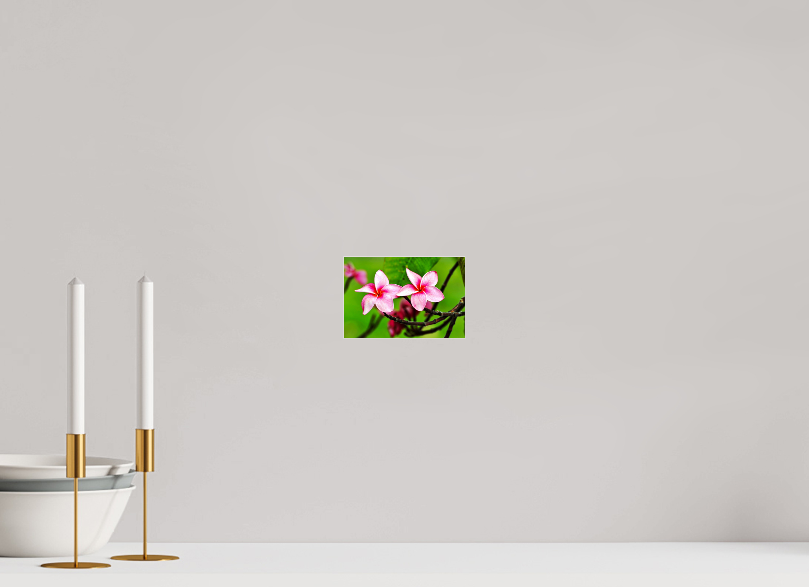 6 x 4″, Photo Print Fuji Crystal Archive Under Acrylic Glass Pink Plumeria Rubra (Frangipani)