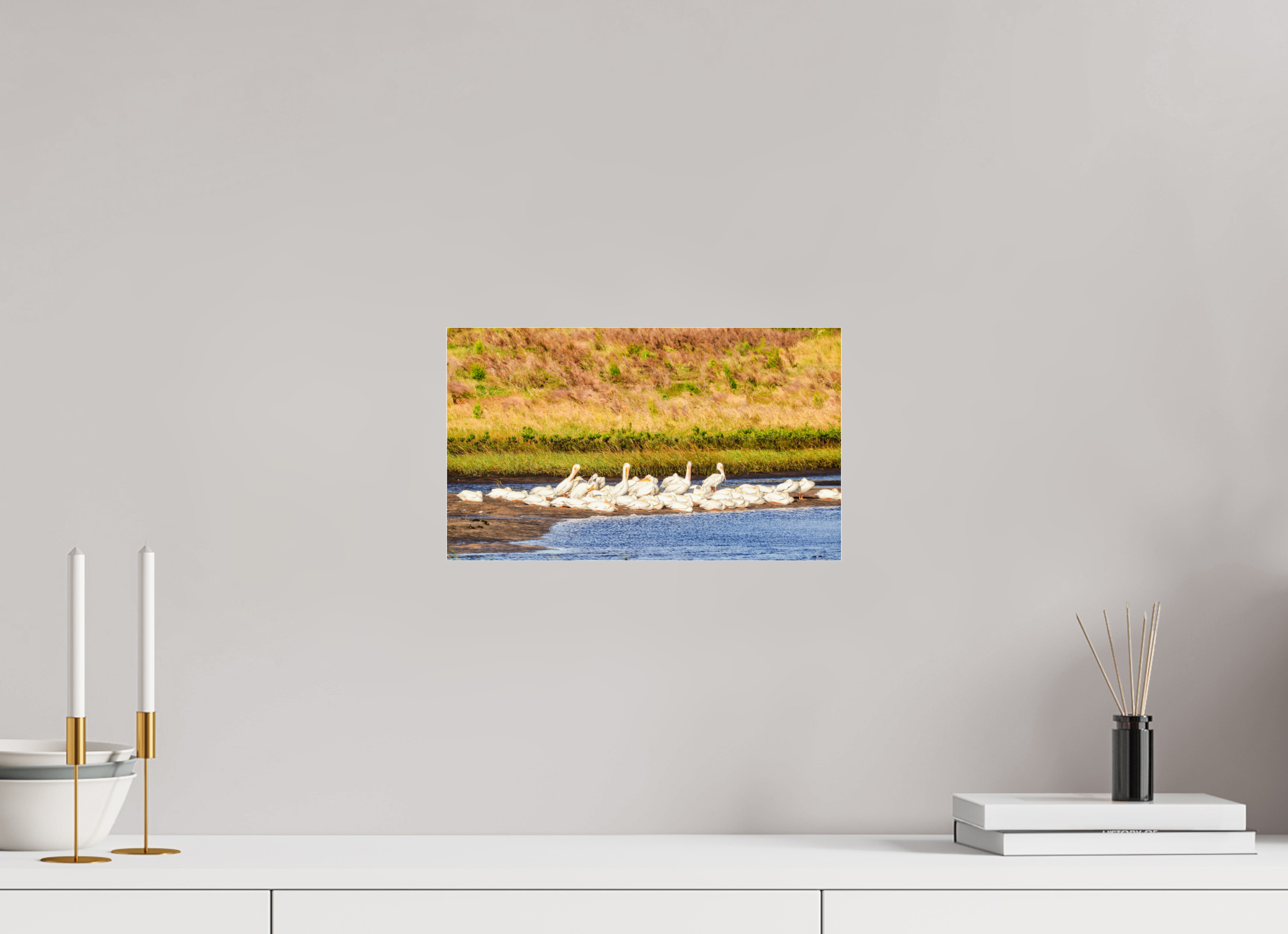 13.5 x 8″, Metallic Photo Print Under Acrylic Glass White Pelicans Golden Hour Gathering