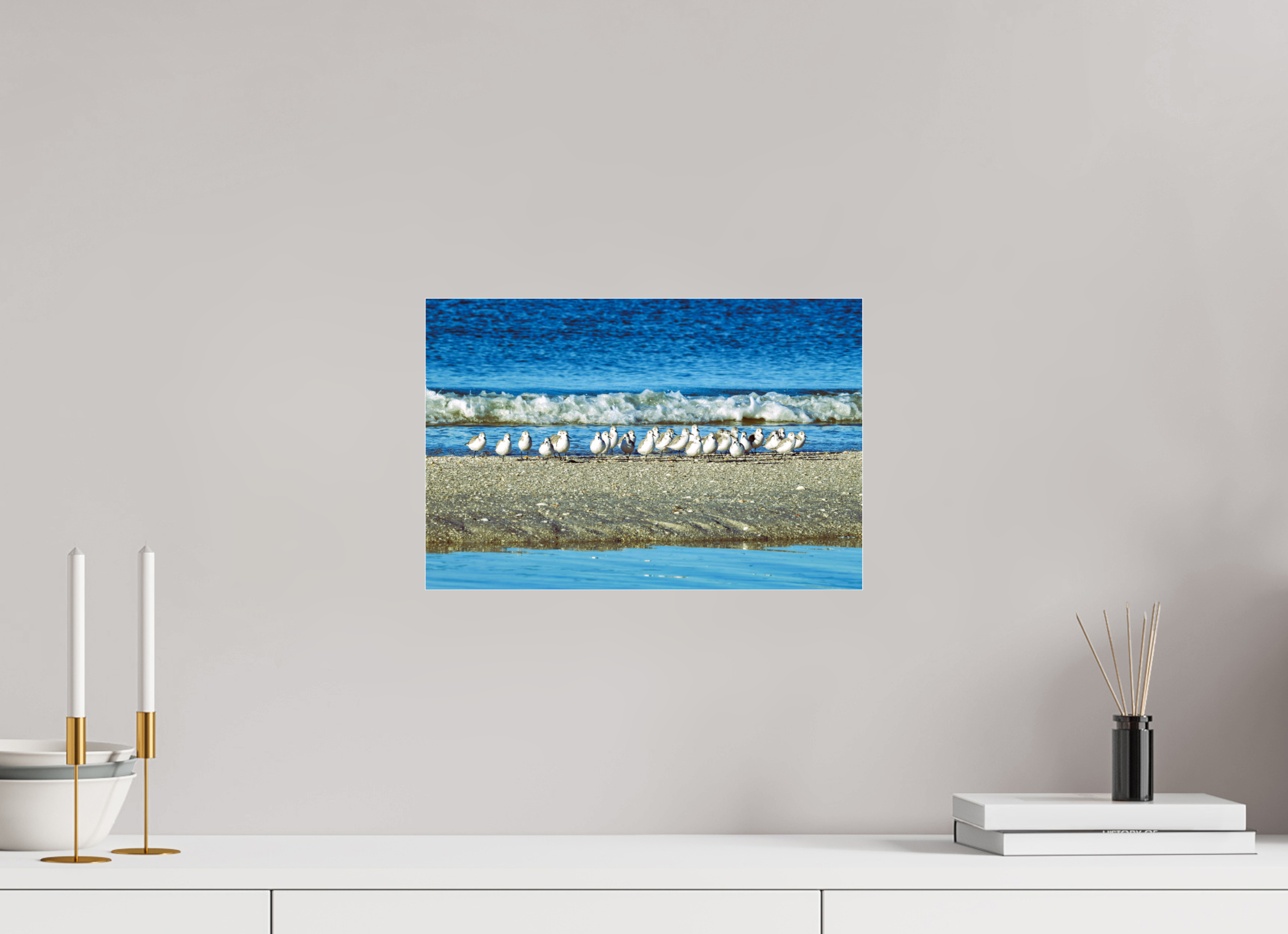 15 x 10″, Metallic Photo Print Under Acrylic Glass Sanderlings on Standby