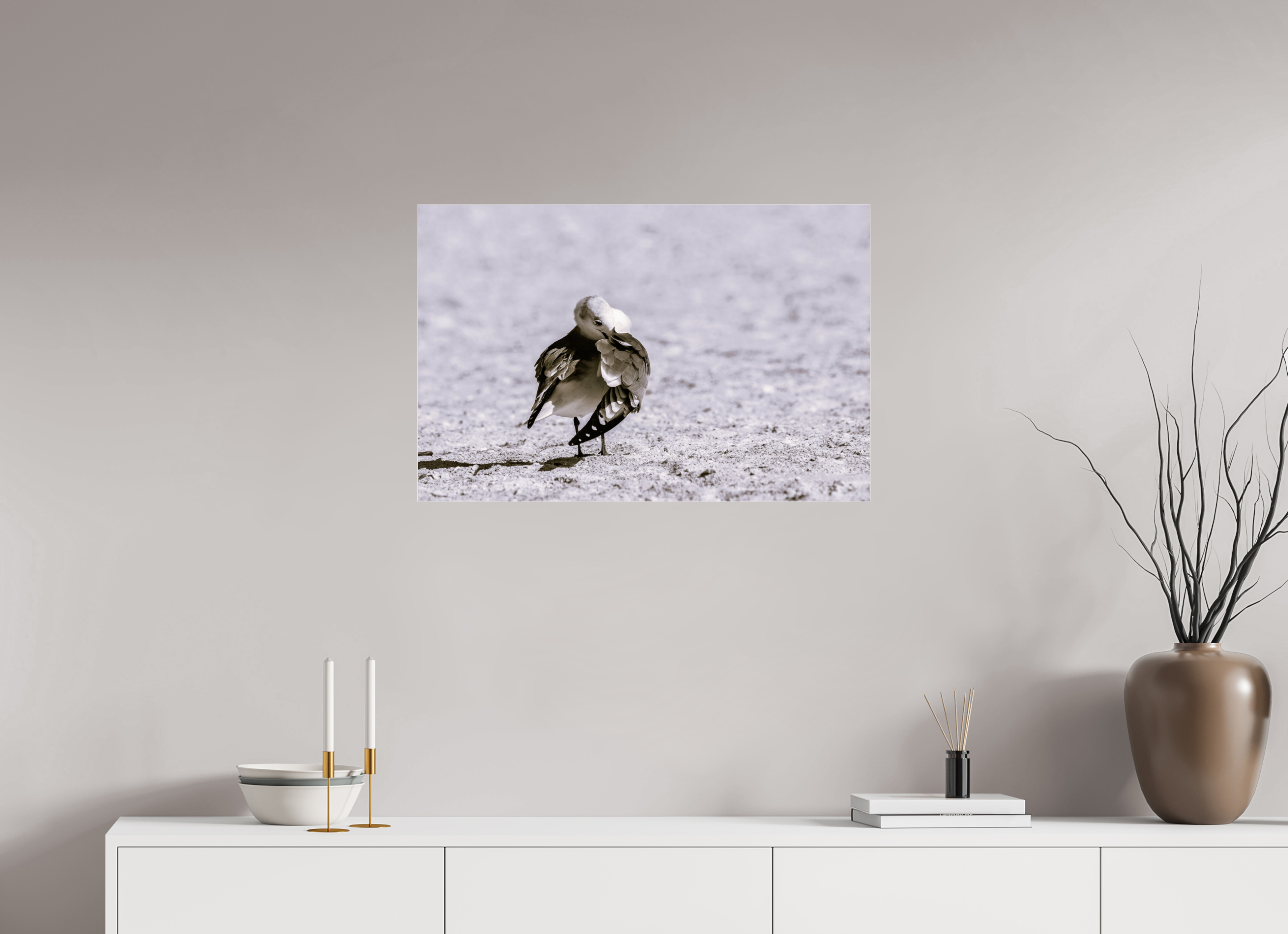 30.5 x 20″, Photo Print Under Acrylic Glass A Monochrome Gull Preening