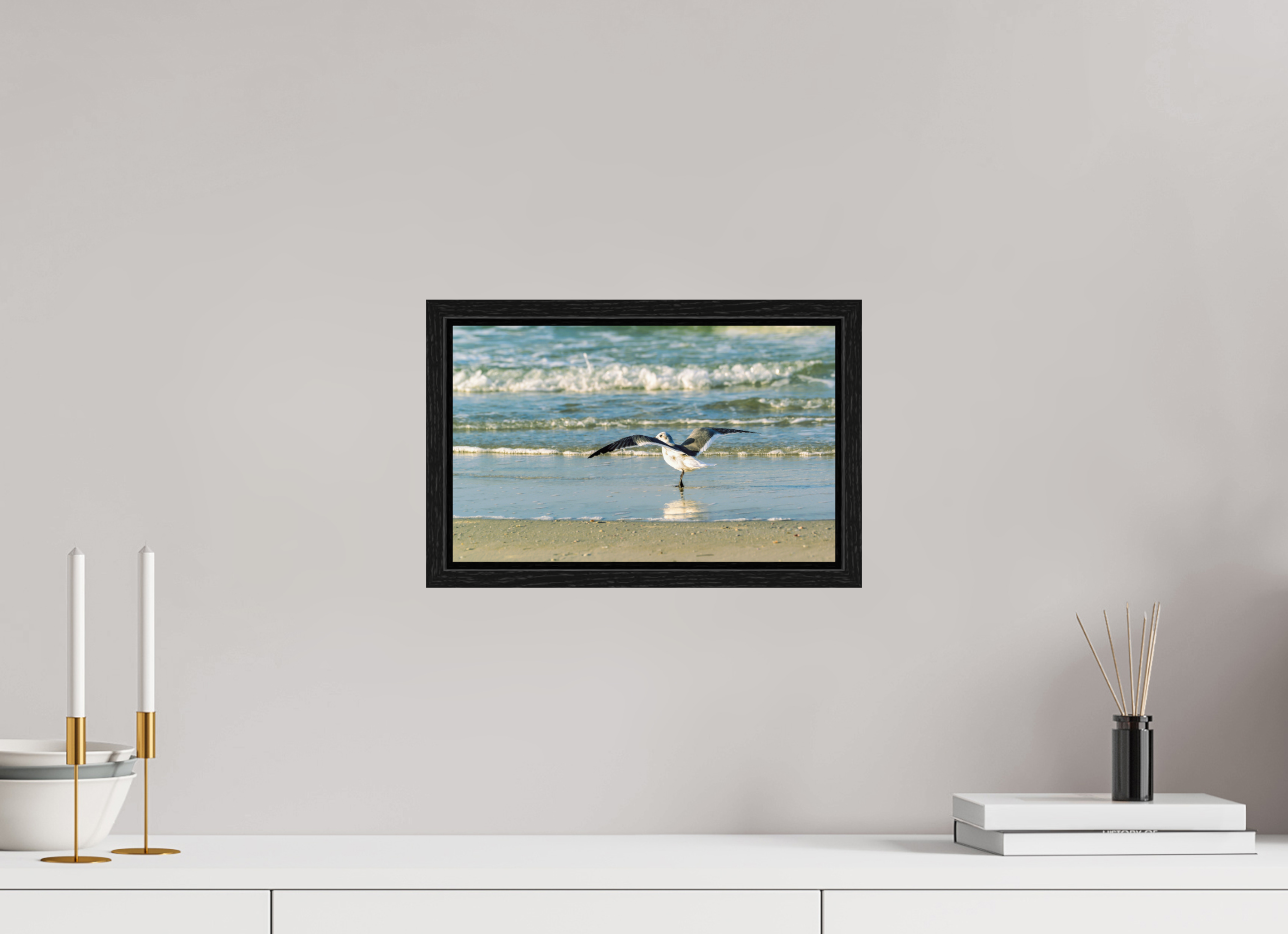 13 x 8″, Floater Frame Laughing Gull in Motion