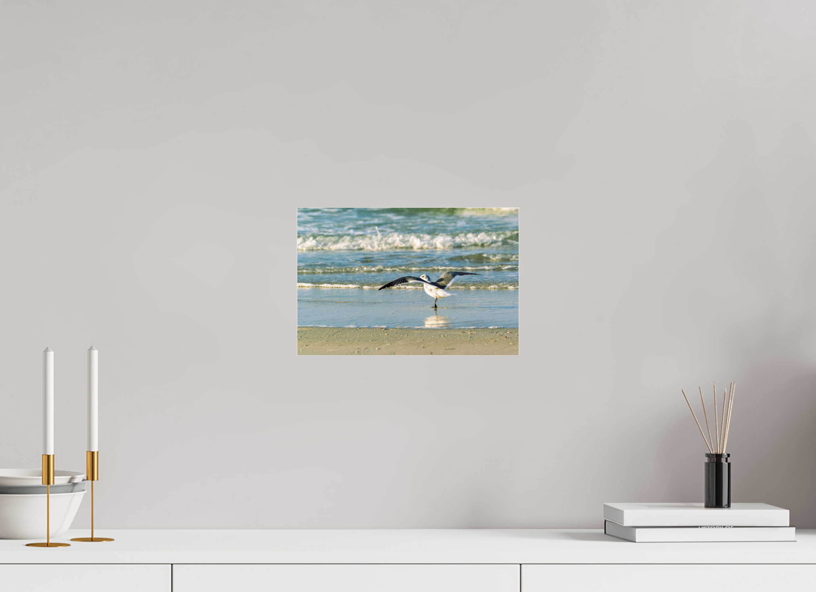 12 x 8″, Metallic Photo Print Under Acrylic Glass Laughing Gull in Motion