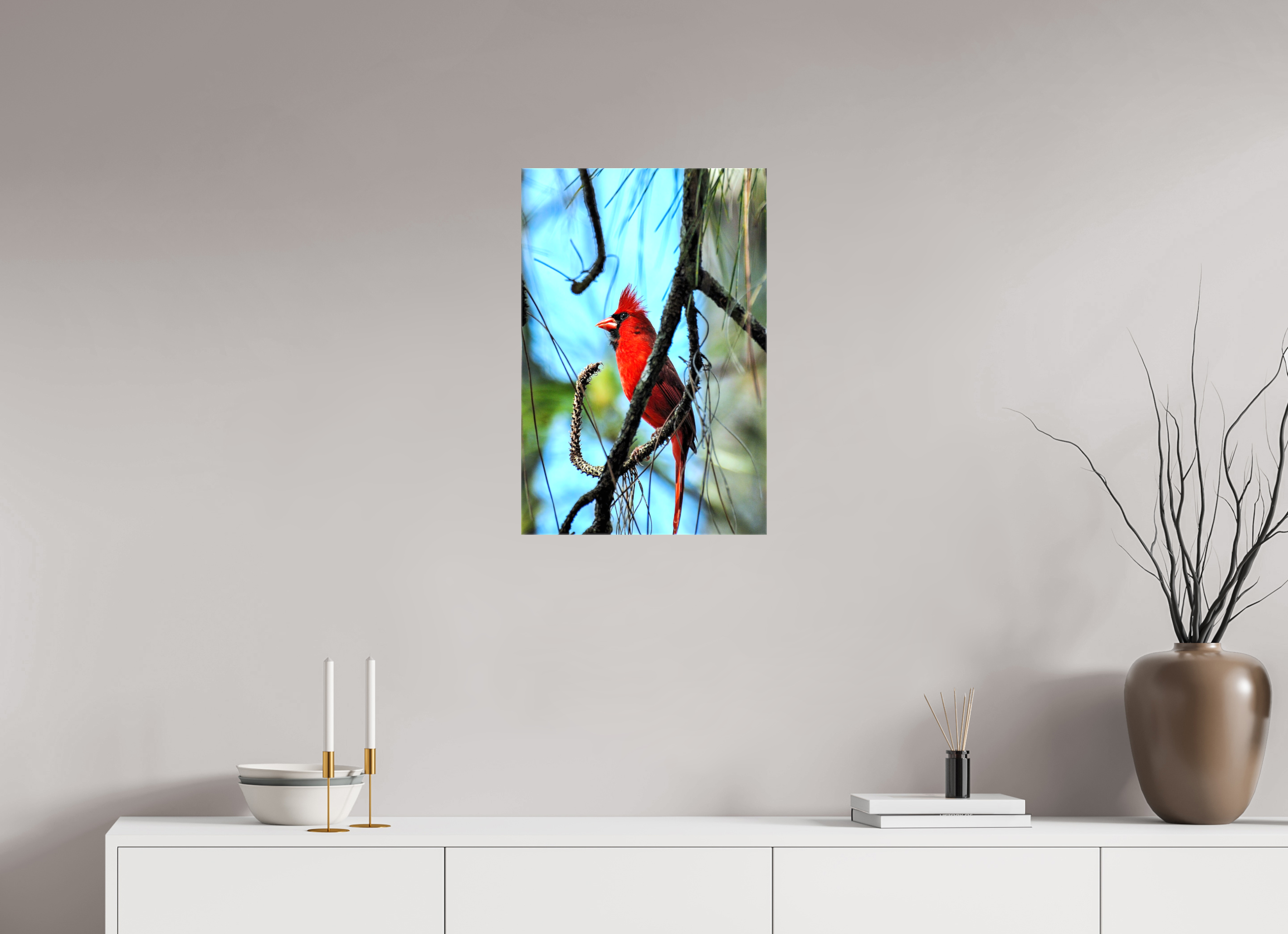 16 x 24″, Glossy Canvas on Stretcher Frame, 1,57" Wrapped The Corkscrew Cardinal