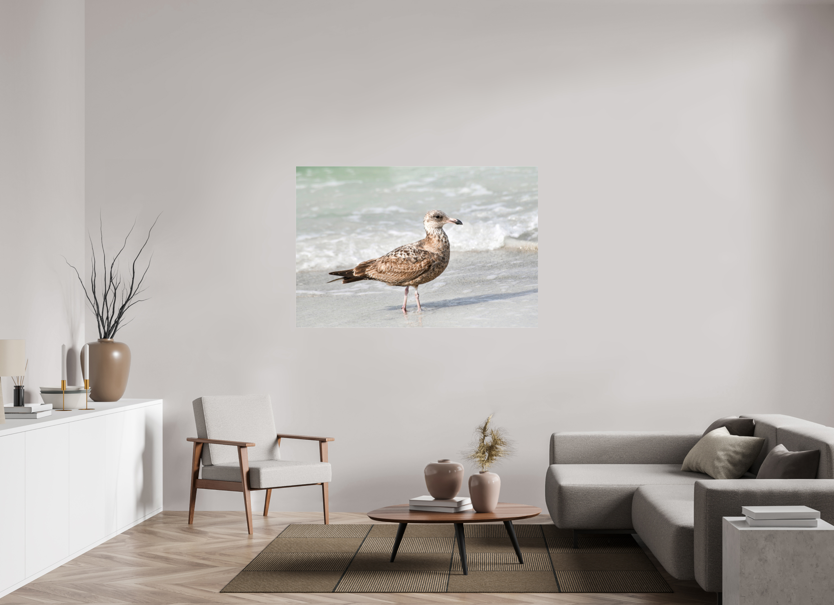 60 x 40″, Photo Print Fuji Crystal Archive Under Acrylic Glass The Young Explorer: Immature American Herring Gull