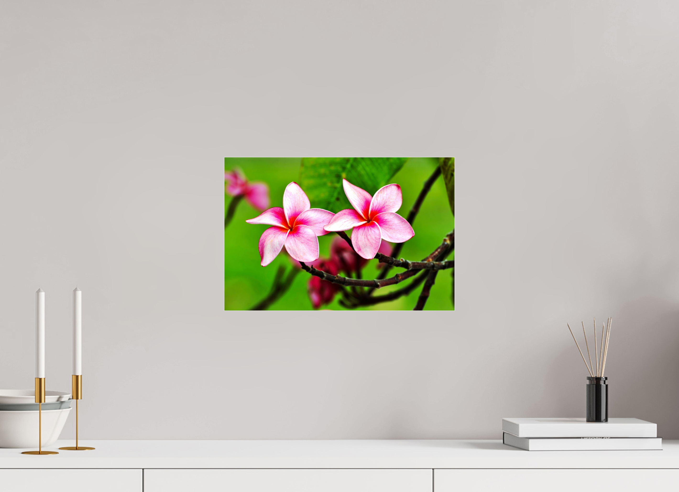 15 x 10″, Photo Print Fuji Crystal Archive Under Acrylic Glass Pink Plumeria Rubra (Frangipani)