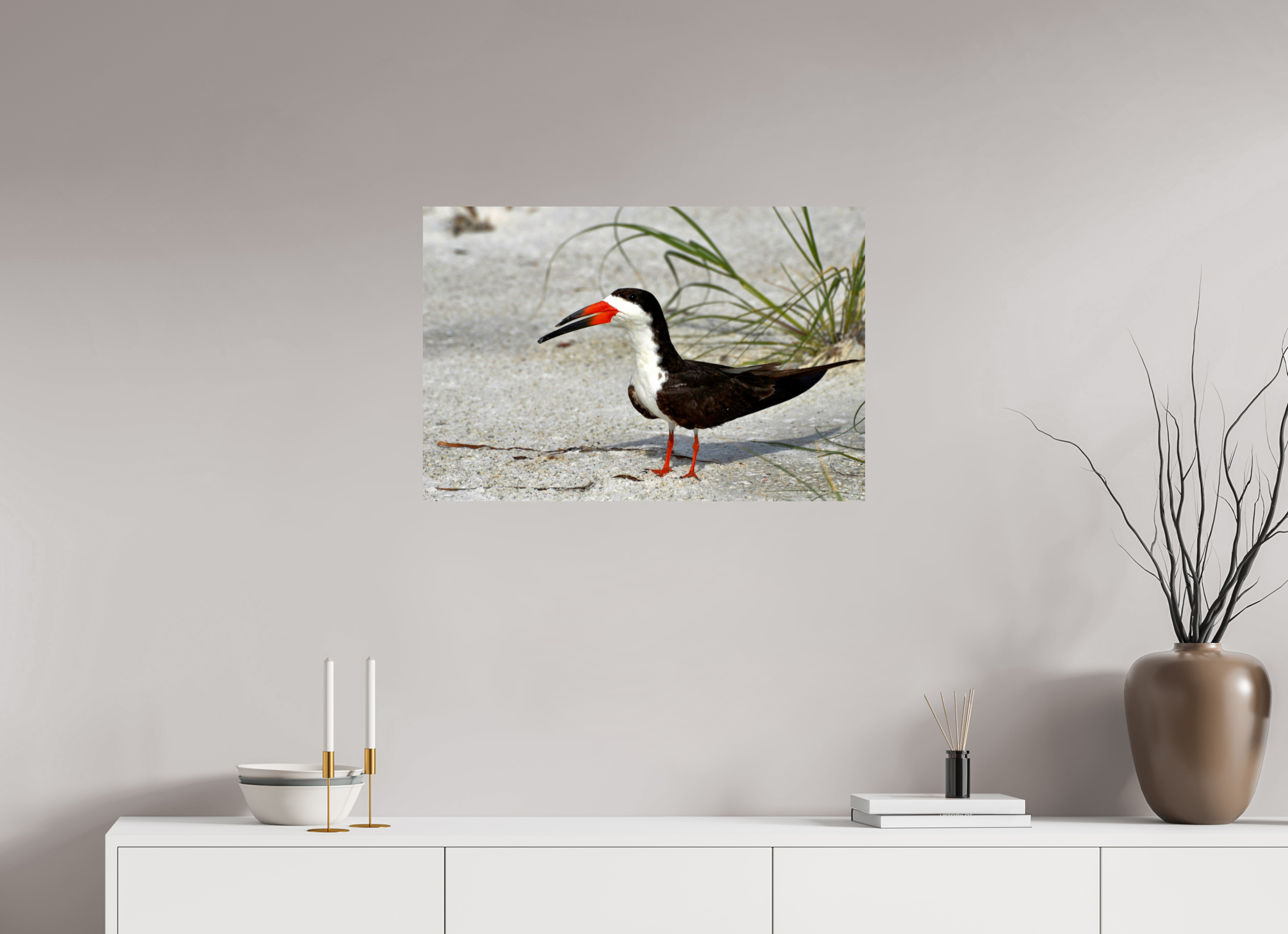 30 x 20″, Photo Print On Fuji Crystal DP II Sand & Black Skimmer
