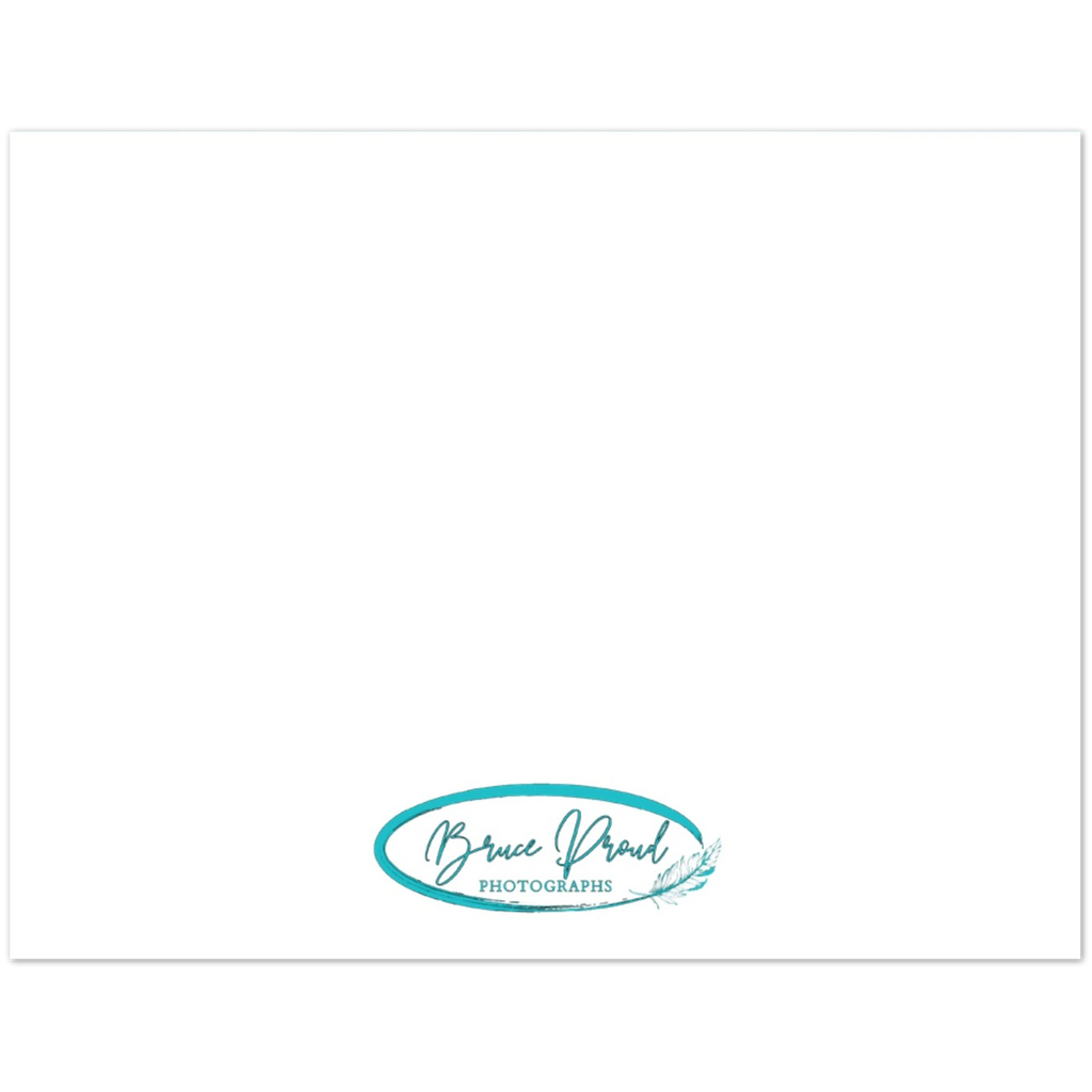 6bc23ec6-2b09-468a-bb07-e6a182e71f4e