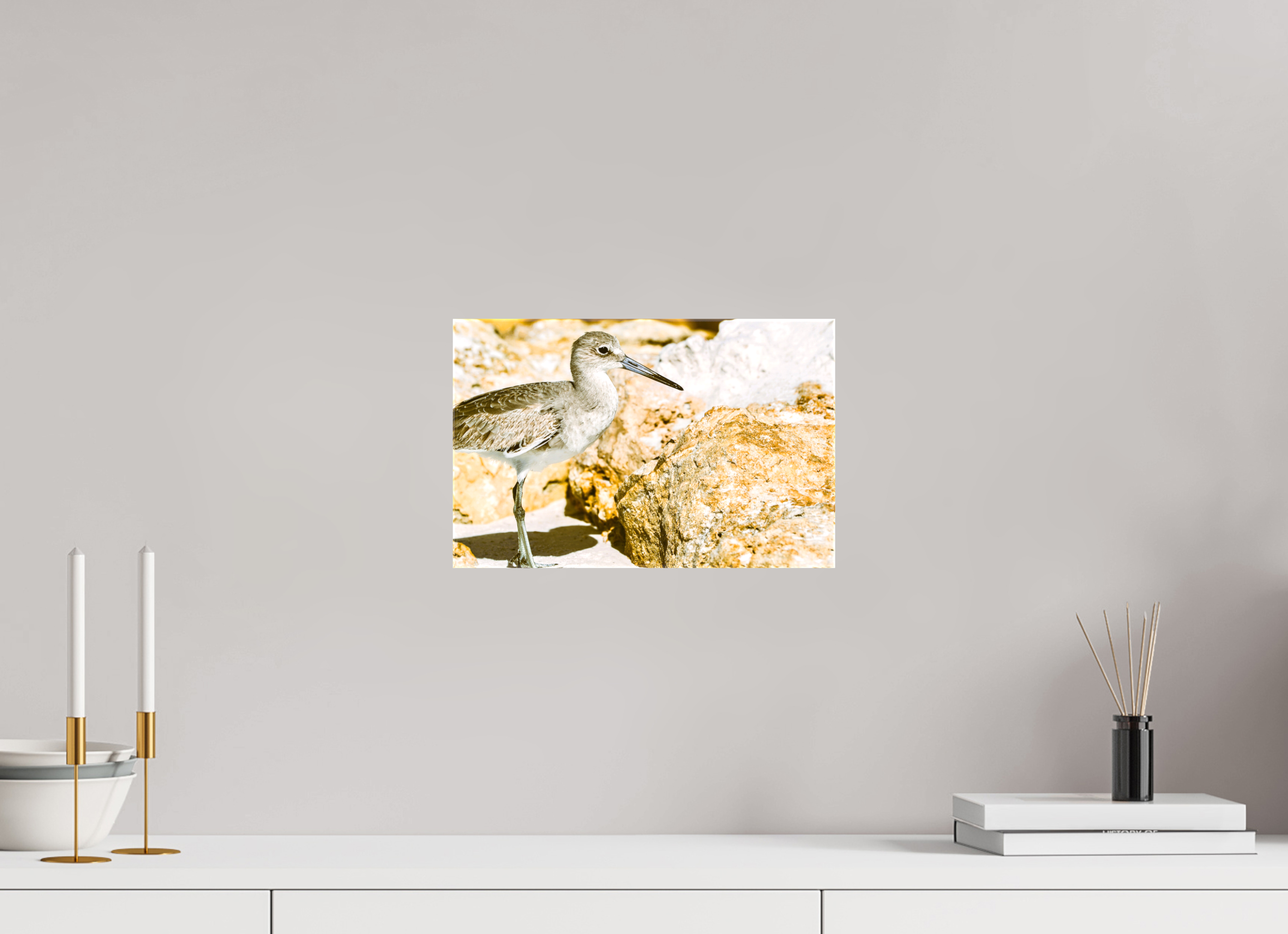 12.4 x 8″, Glossy Canvas on Stretcher Frame, 1,57" Wrapped The Sunny Willet