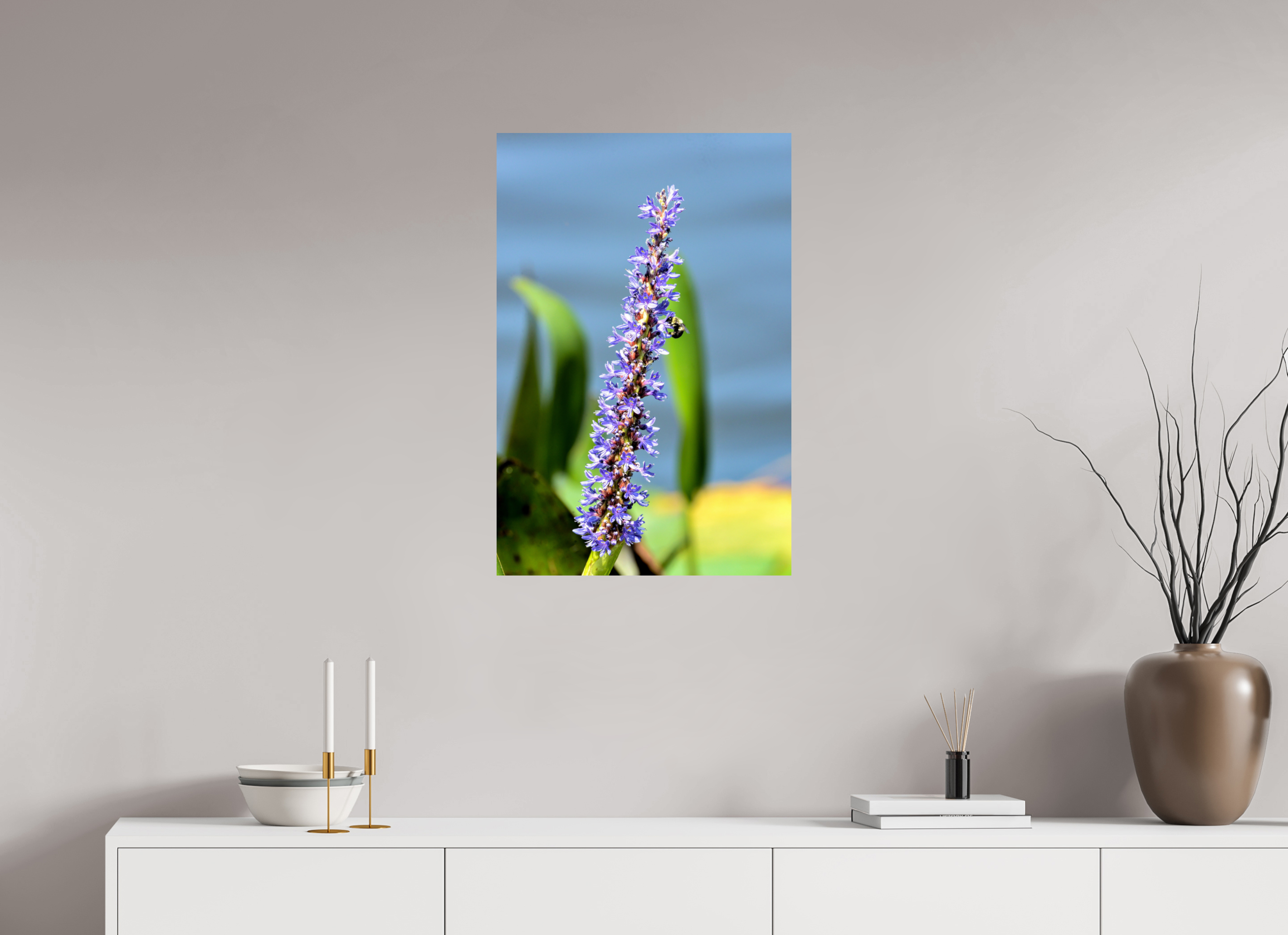 20 x 30″, Photo Print On Fuji Crystal DP II Bloom & Buzz