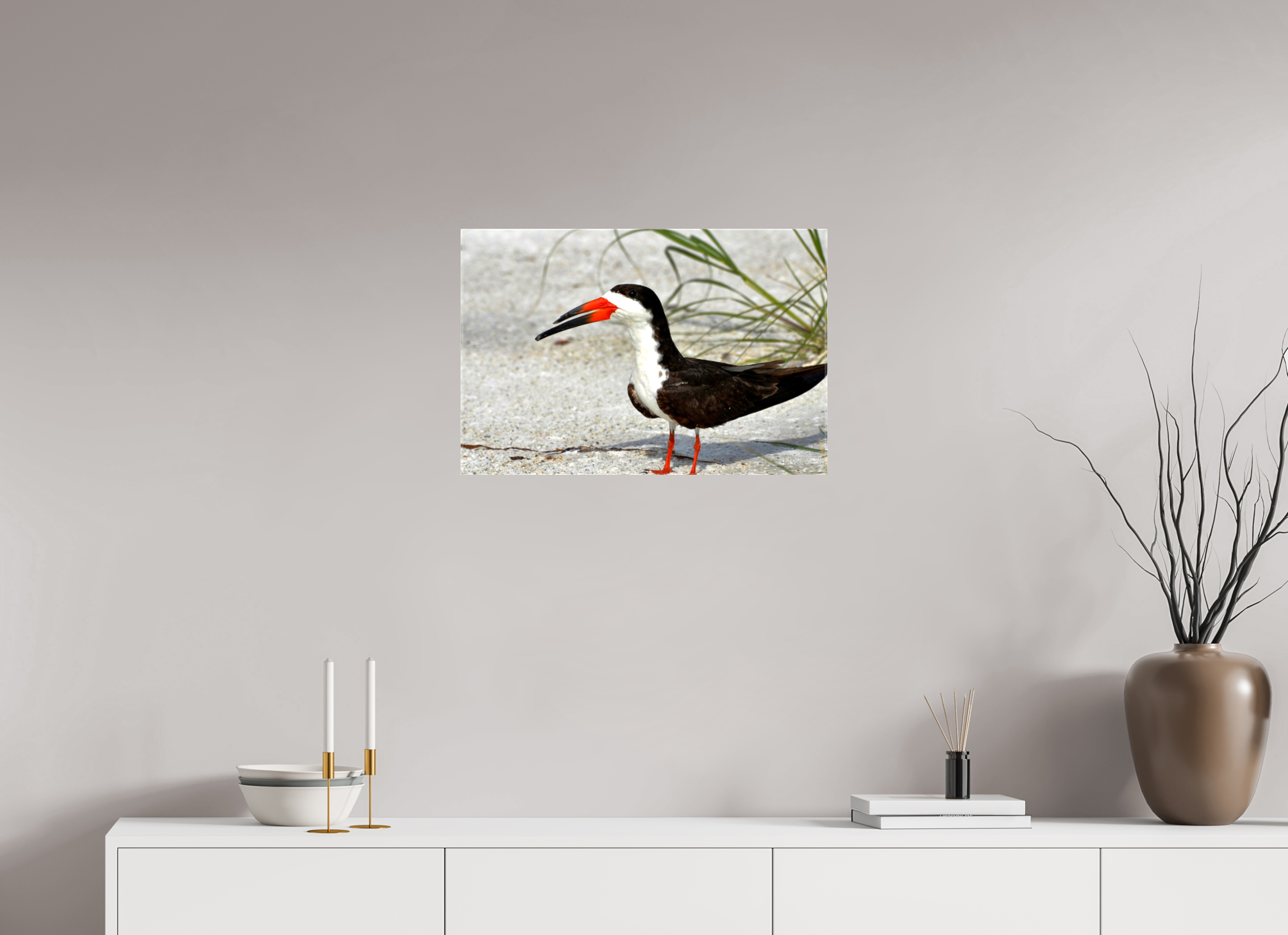 24 x 16″, Glossy Canvas on Stretcher Frame, 1,57" Wrapped Sand & Black Skimmer