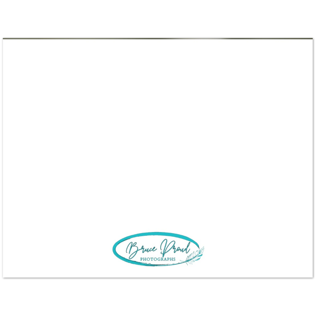 6d86f9e6-e16a-4c01-9c5b-1cebeb750f37