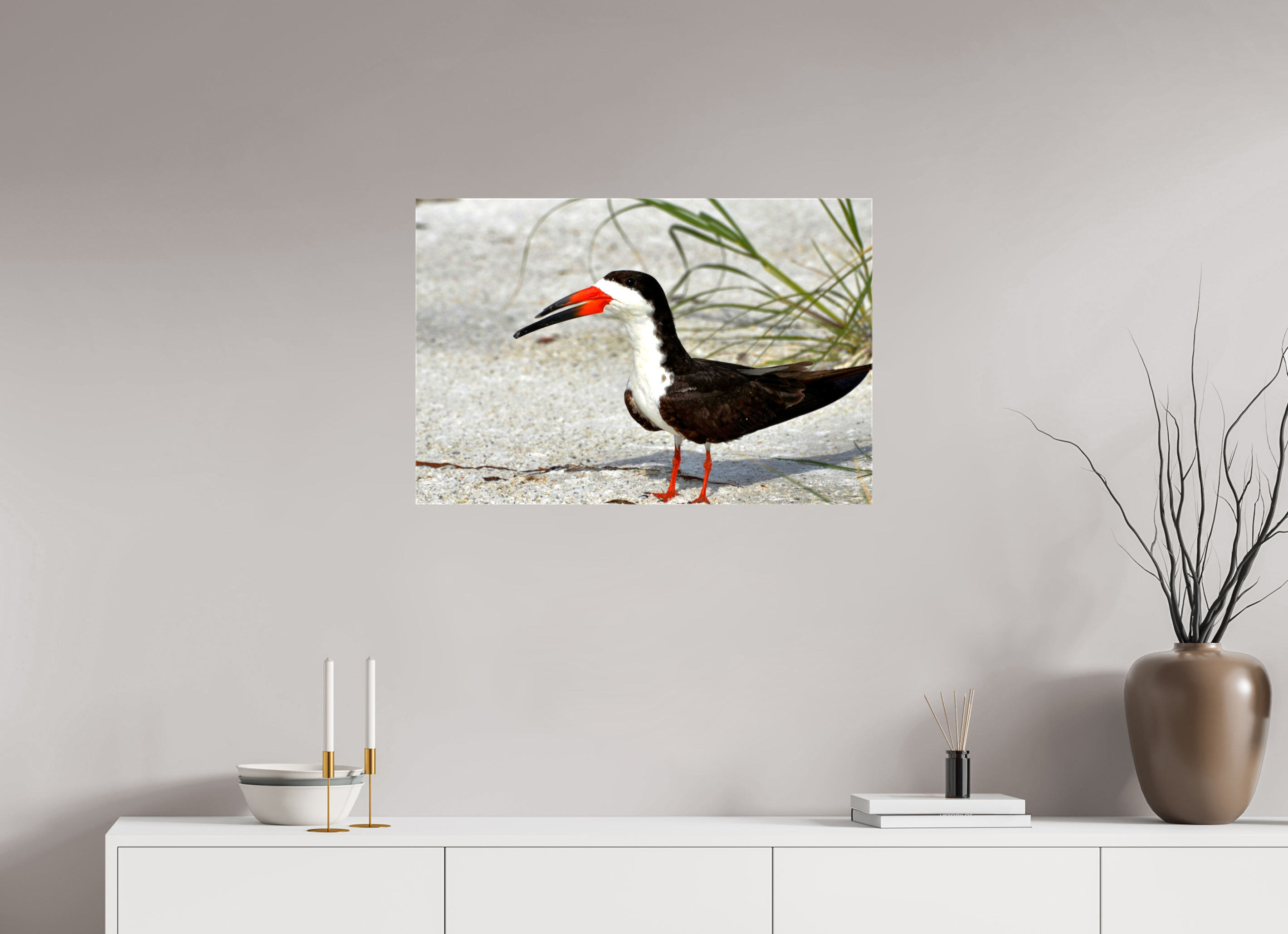 30 x 20″, Glossy Canvas on Stretcher Frame, 1,57" Wrapped Sand & Black Skimmer