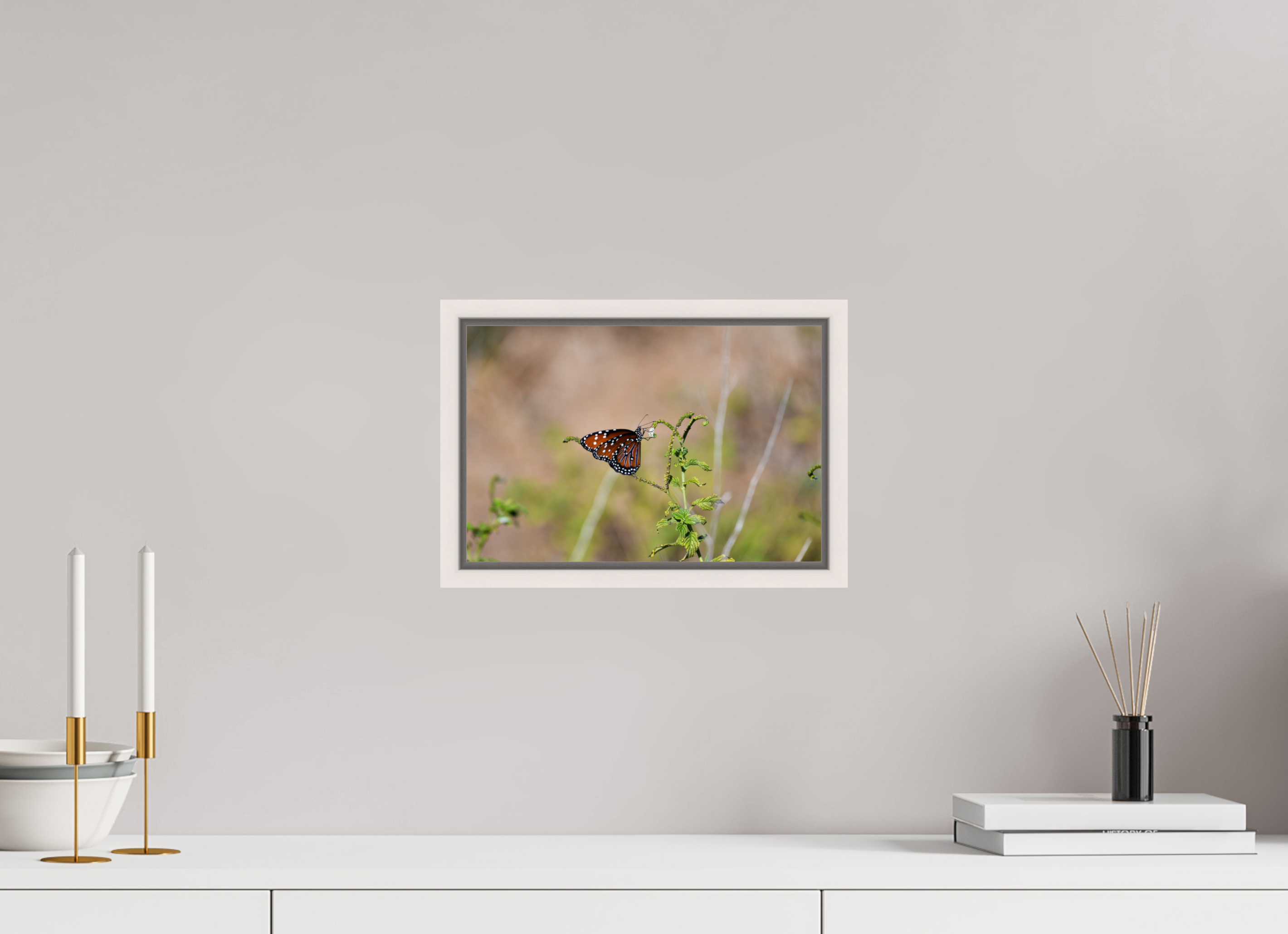 12 x 8″, Floater Frame, Basel 0.6", Maple White, Glossy Acrylic Glass Queen Butterfly