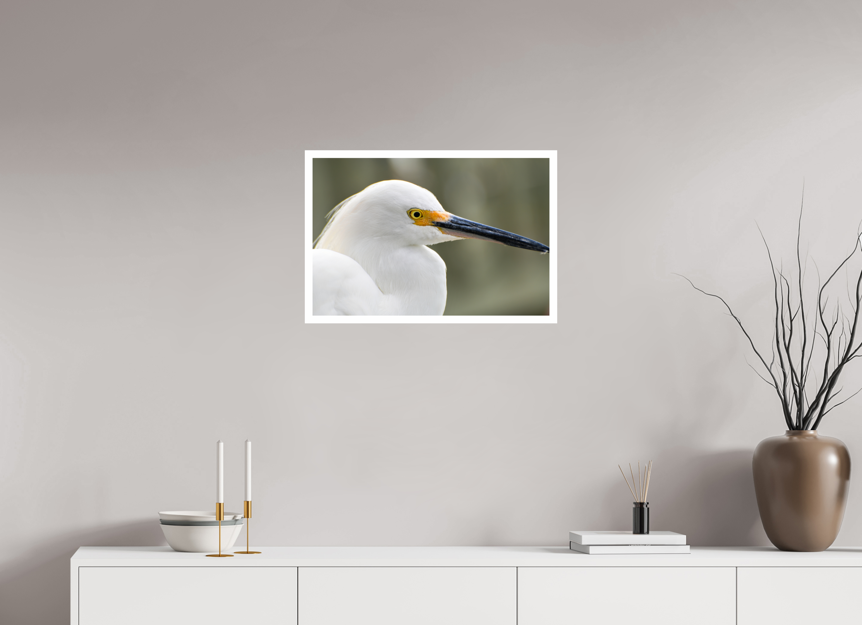 24 x 16″, Hahnemühle FineArt Pearl Print, .79" white border The White Plume: Snowy Egret Portrait