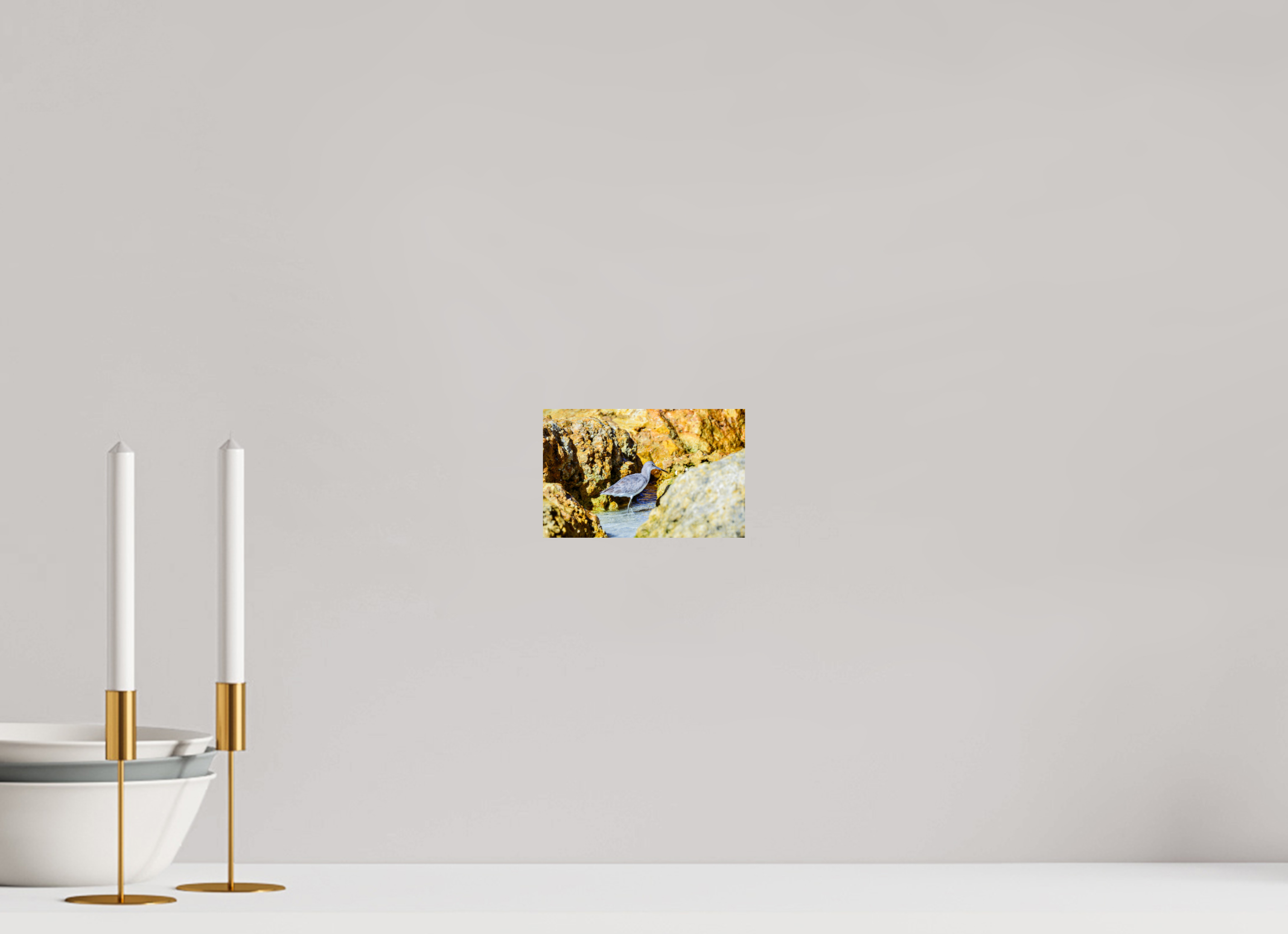 6.3 x 4″, Photo Print On Fuji Crystal DP II The Hiding Willet