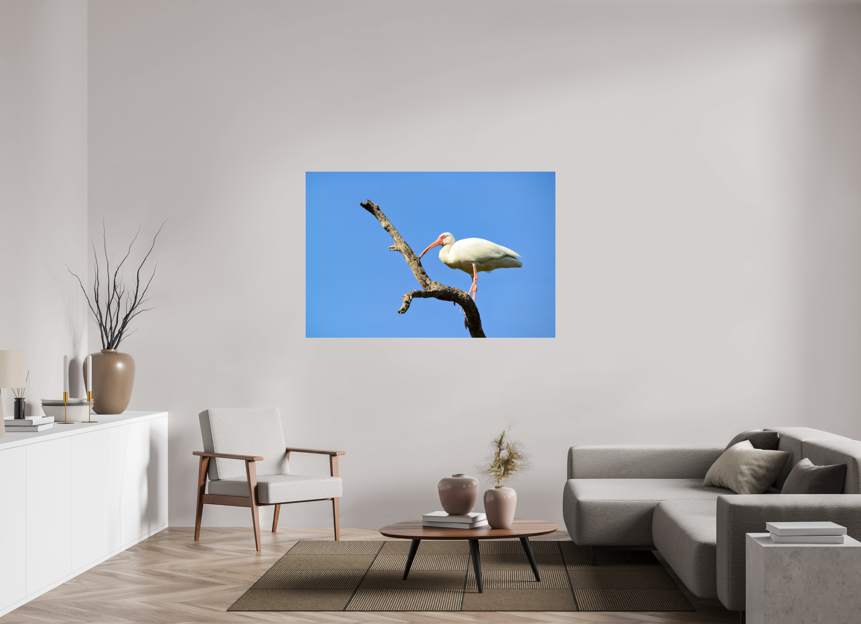 60 x 40″, Photo Print Fuji Crystal Archive Under Acrylic Glass Azure Solitude: The American White Ibis