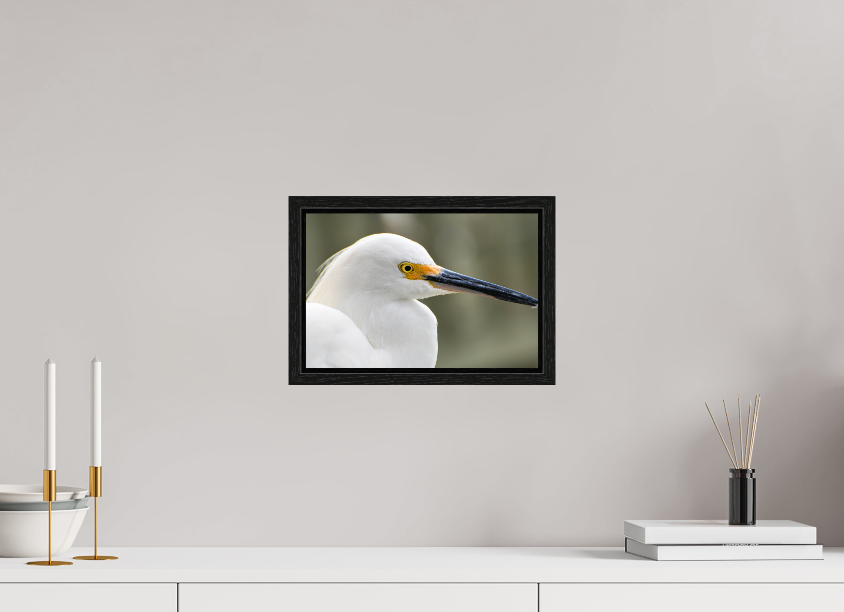 12 x 8″, Floater Frame, Basel 0.6", Black Oak, Glossy Acrylic Glass The White Plume: Snowy Egret Portrait
