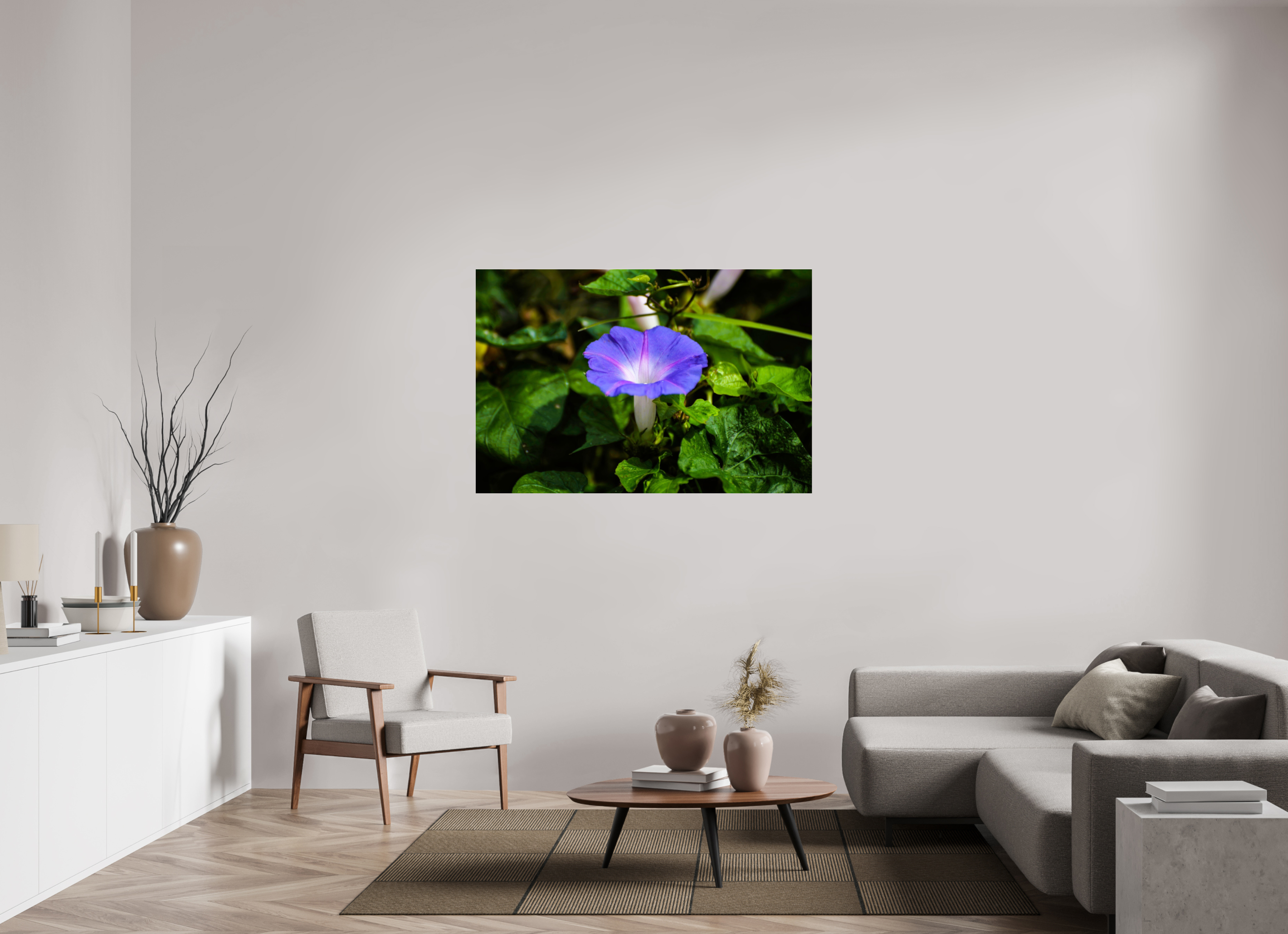 54 x 36″, Photo Print Fuji Crystal Archive Under Acrylic Glass Heavenly Blue Morning Glory