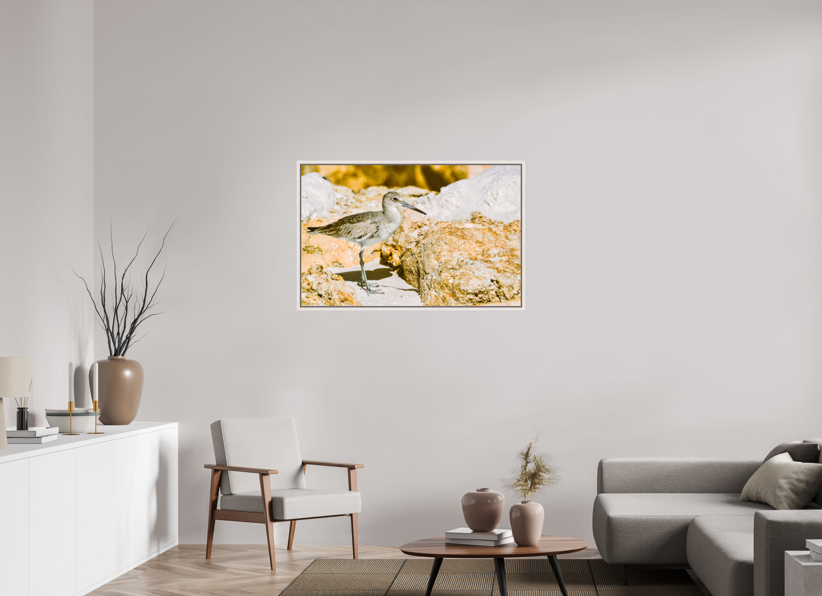 43.6 x 28″, Floater Frame, Basel 0.6", Maple White, Glossy Acrylic Glass The Sunny Willet