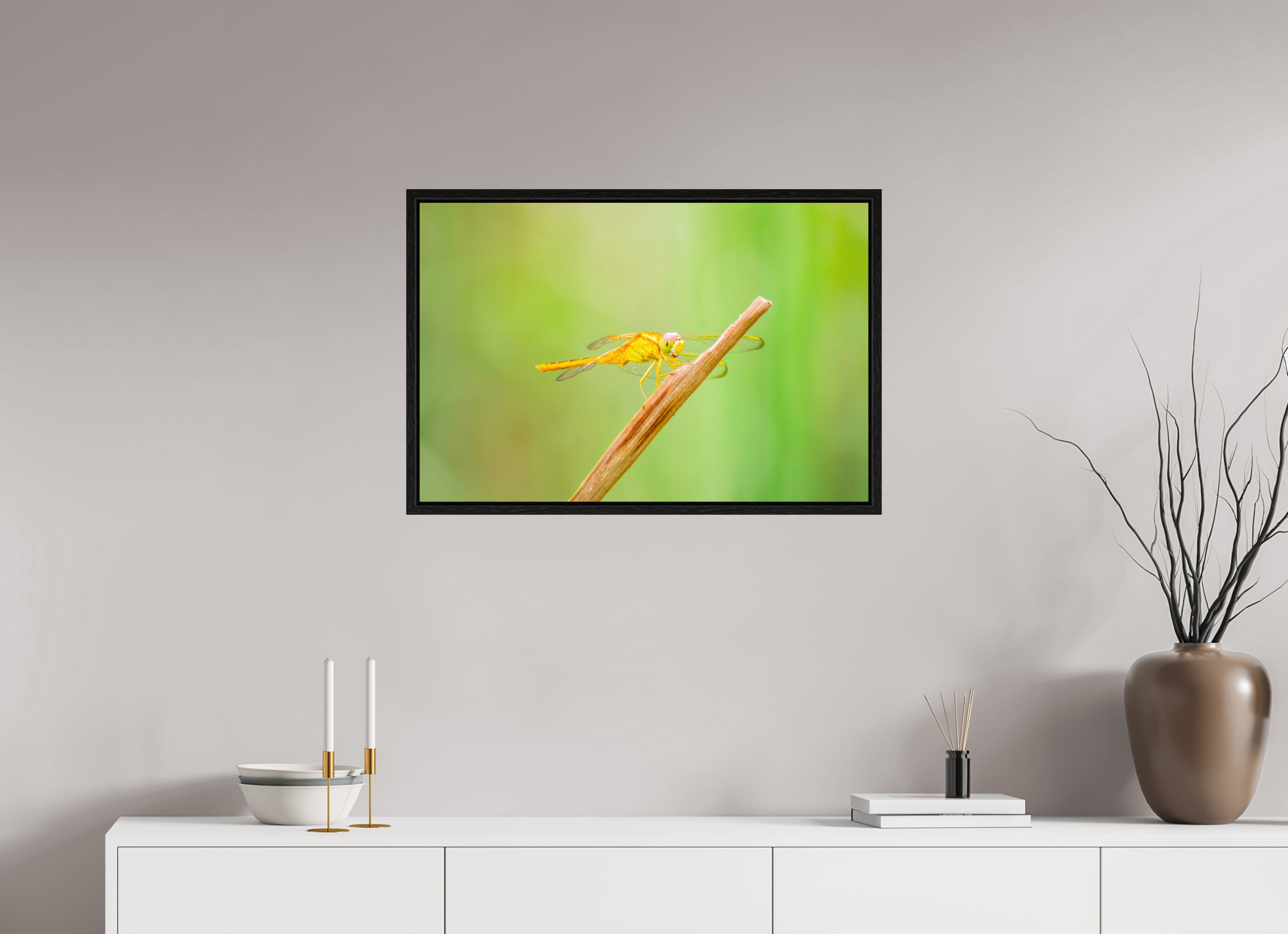 30 x 20″, Floater Frame, Basel 0.6", Black Oak, Glossy Acrylic Glass Sun-Drenched Golden Scarlet Skimmer