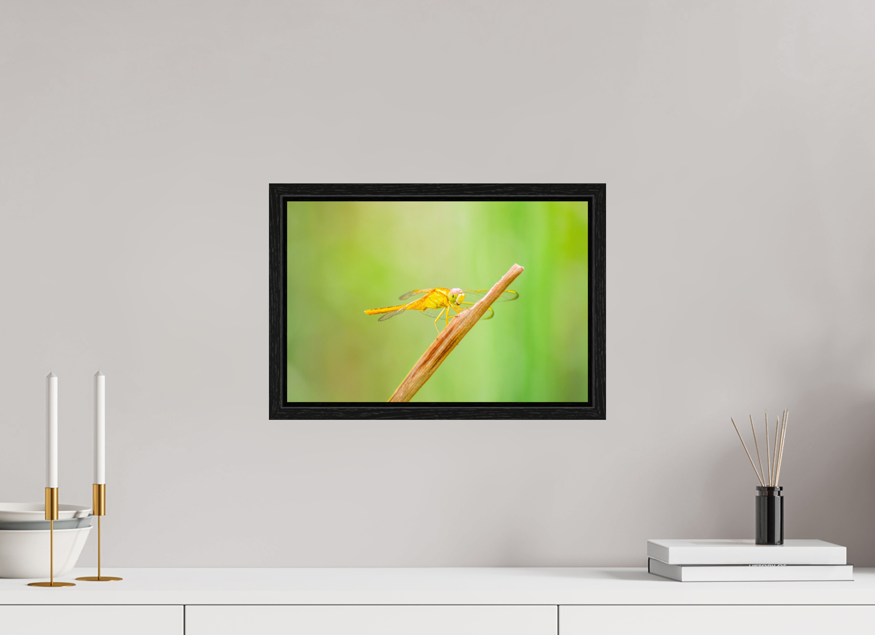 15 x 10″, Floater Frame, Basel 0.6", Black Oak, Glossy Acrylic Glass Sun-Drenched Golden Scarlet Skimmer