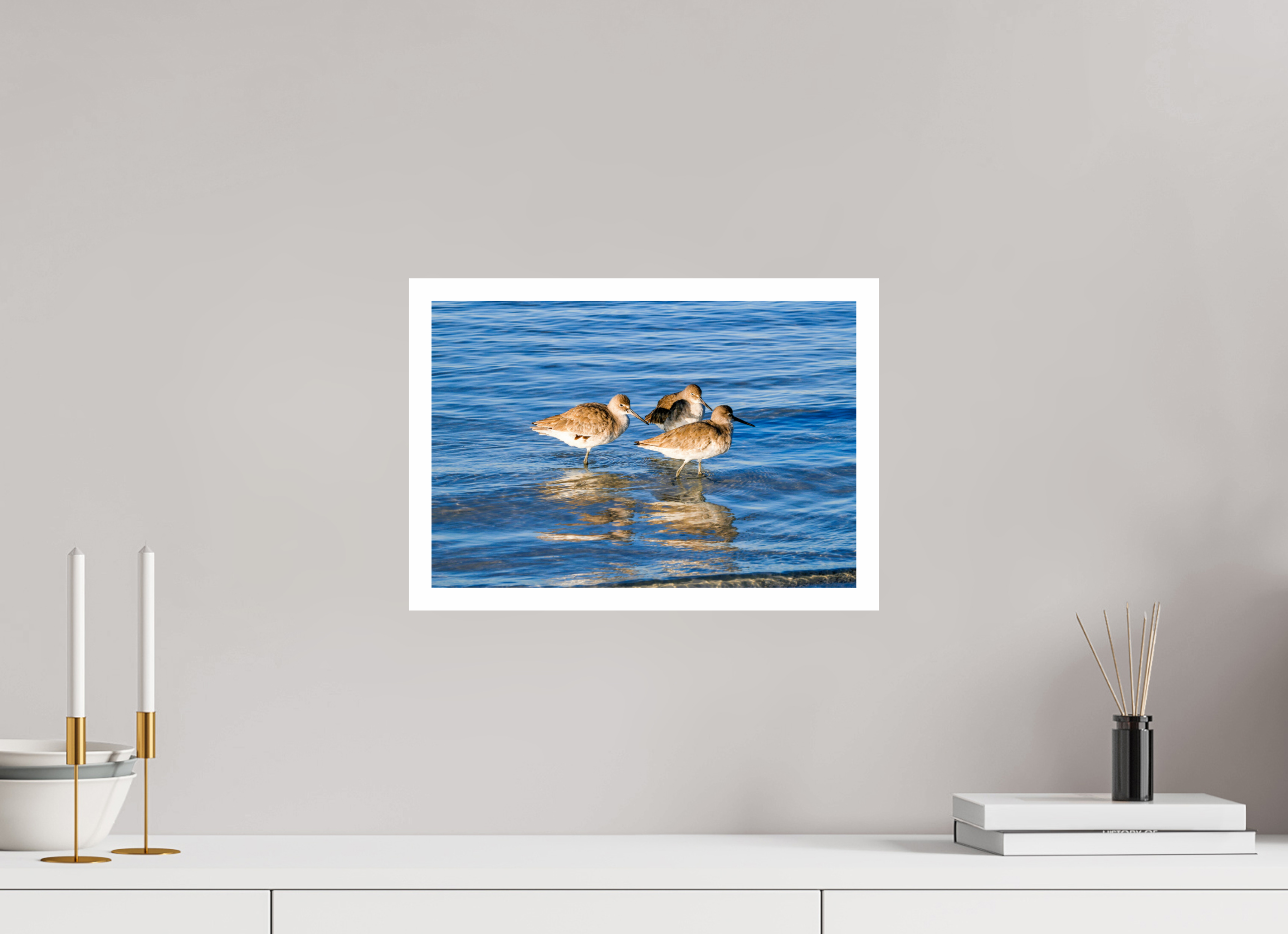 14.8 x 10″, Hahnemühle FineArt Pearl Print, .79" white border The Shoreline Trio: Willets in the Surf