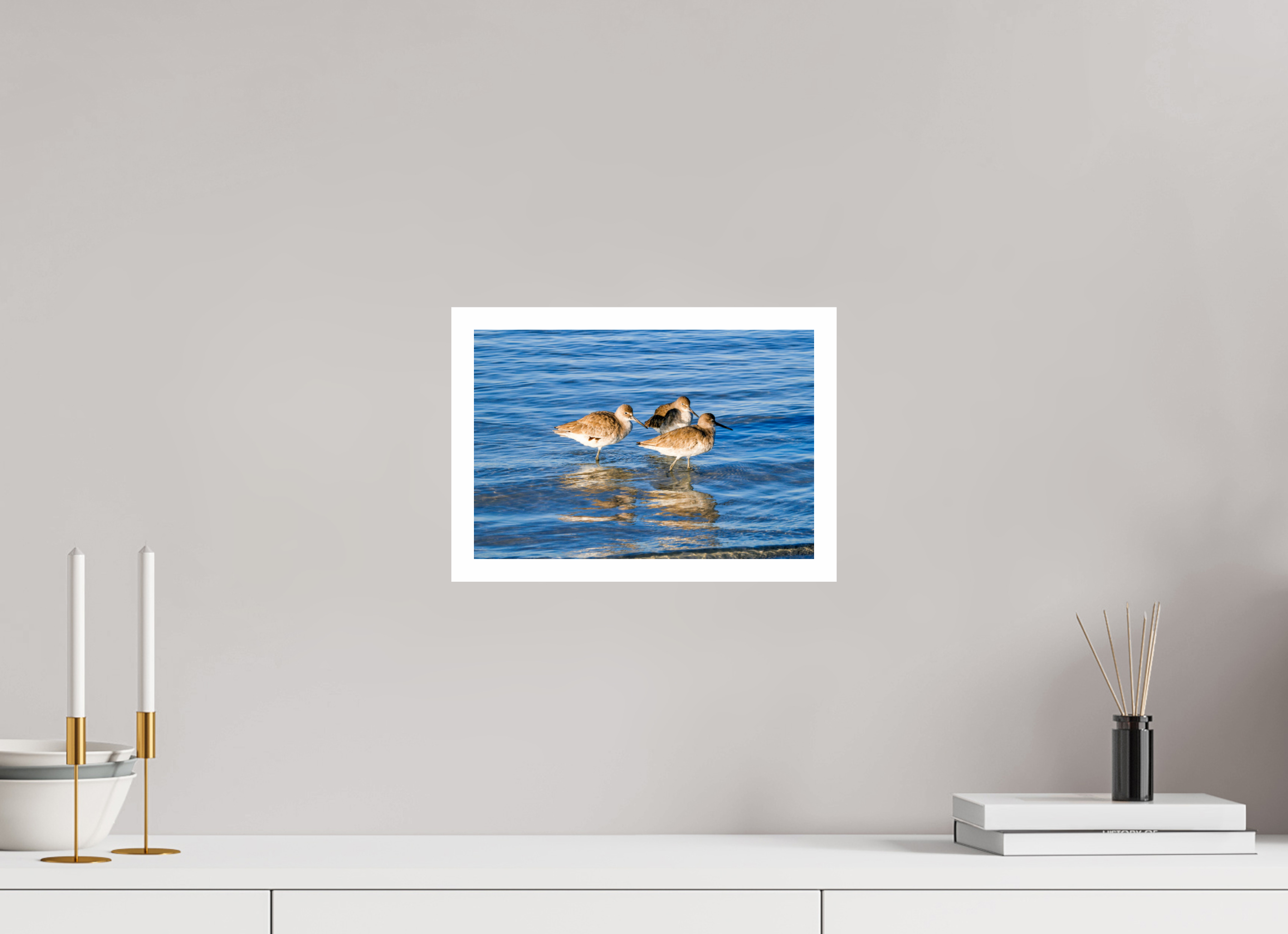 11.9 x 8″, Hahnemühle FineArt Pearl Print, .79" white border The Shoreline Trio: Willets in the Surf