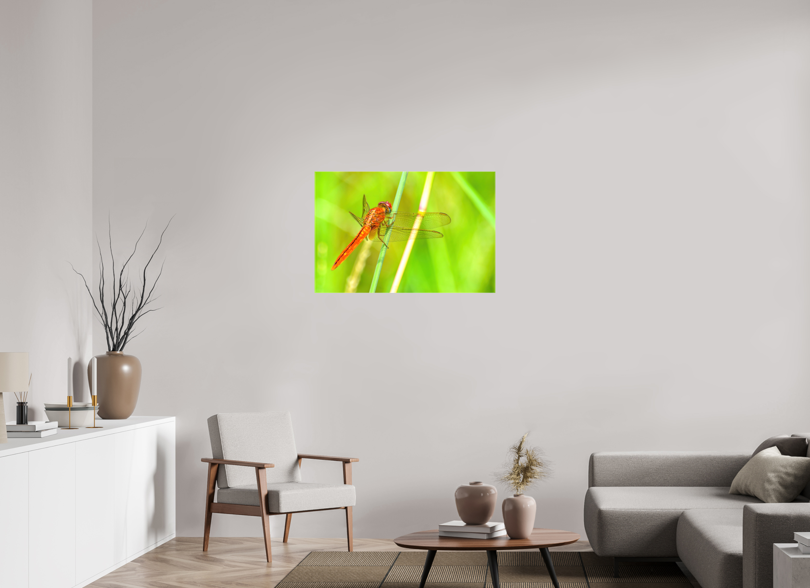 36 x 24″, Glossy Canvas on Stretcher Frame, 1,57" Wrapped Resting Scarlet Skimmer