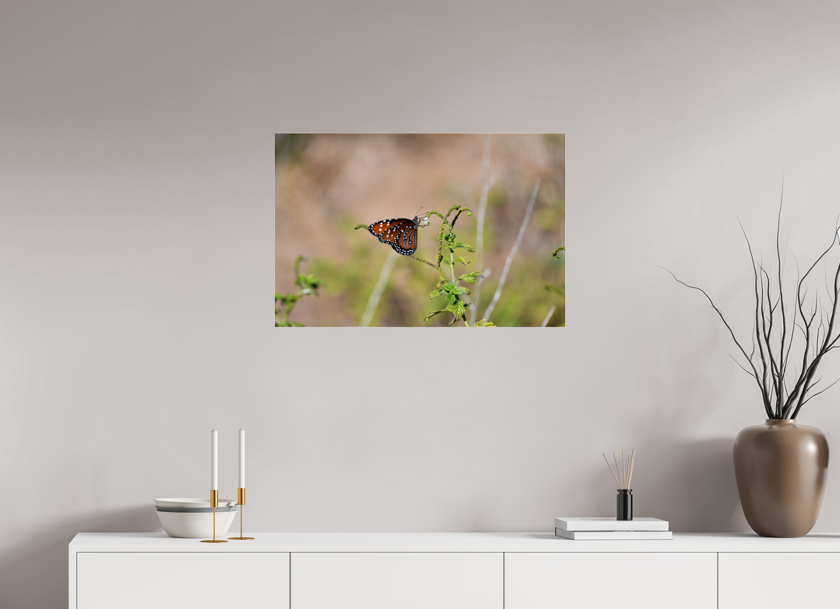 30 x 20″, Photo Print Under Acrylic Glass Queen Butterfly
