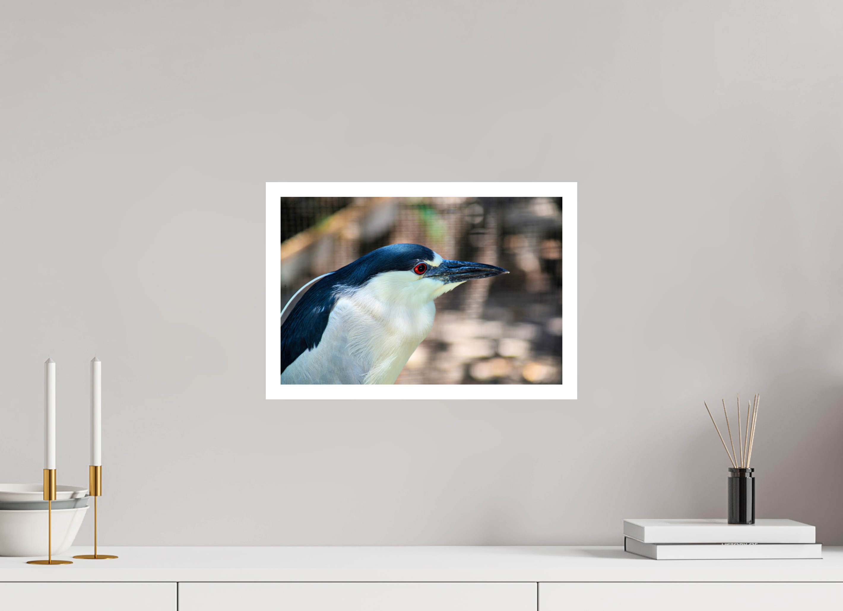 15 x 10″, Hahnemühle FineArt Pearl Print, .79" white border Black-crowned Night Heron
