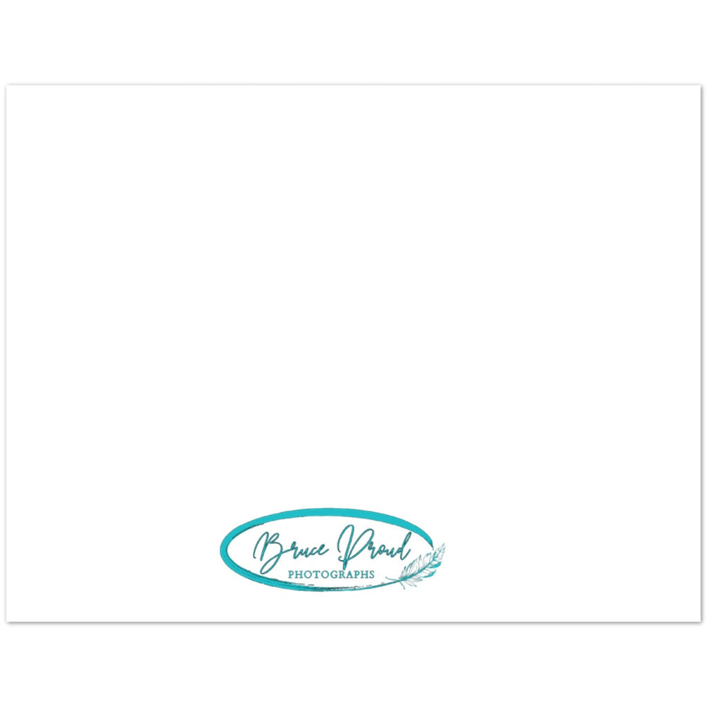 74a45004-079e-46ef-ace6-1f1546245e65