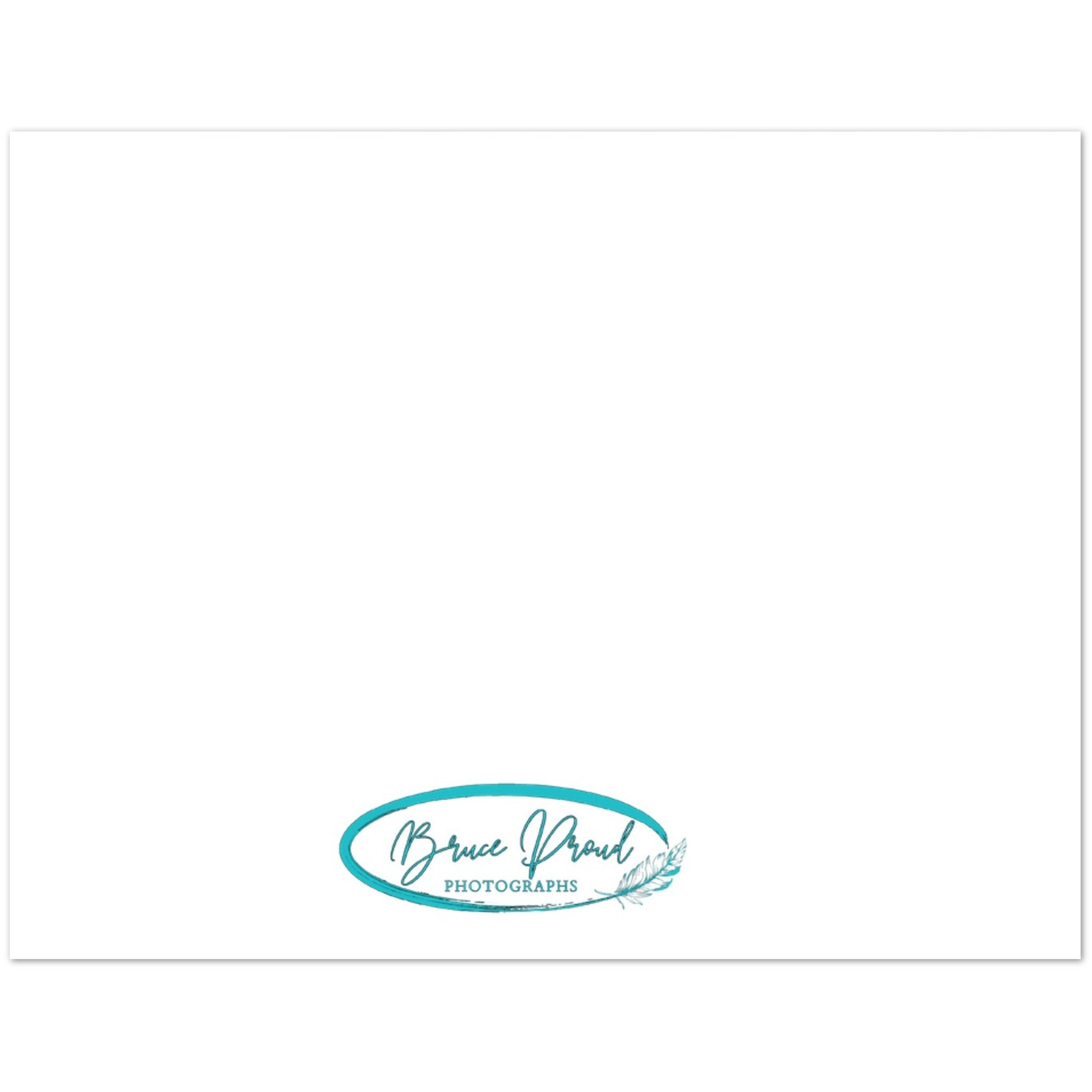 74a45004-079e-46ef-ace6-1f1546245e65