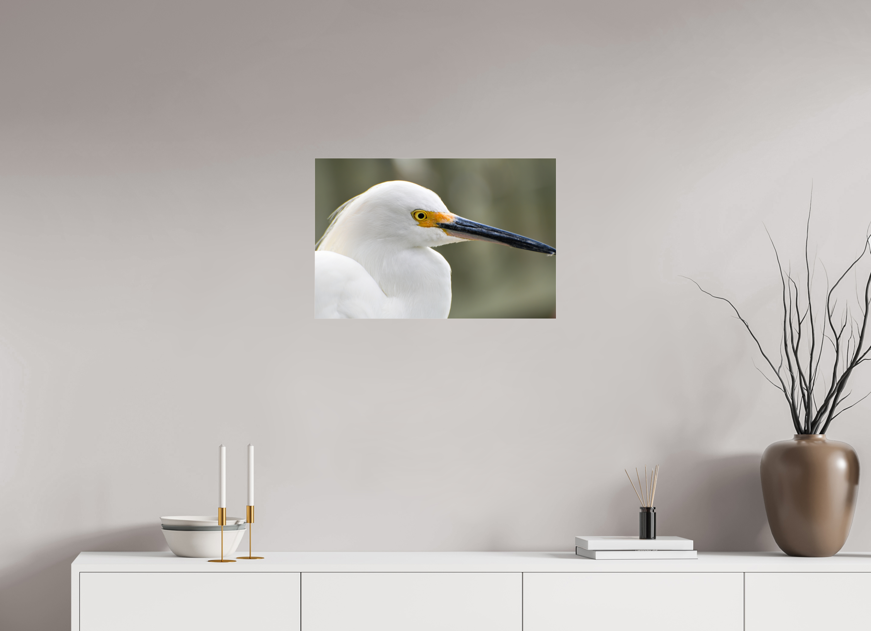 24 x 16″, Photo Print Fuji Crystal Archive Under Acrylic Glass The White Plume: Snowy Egret Portrait
