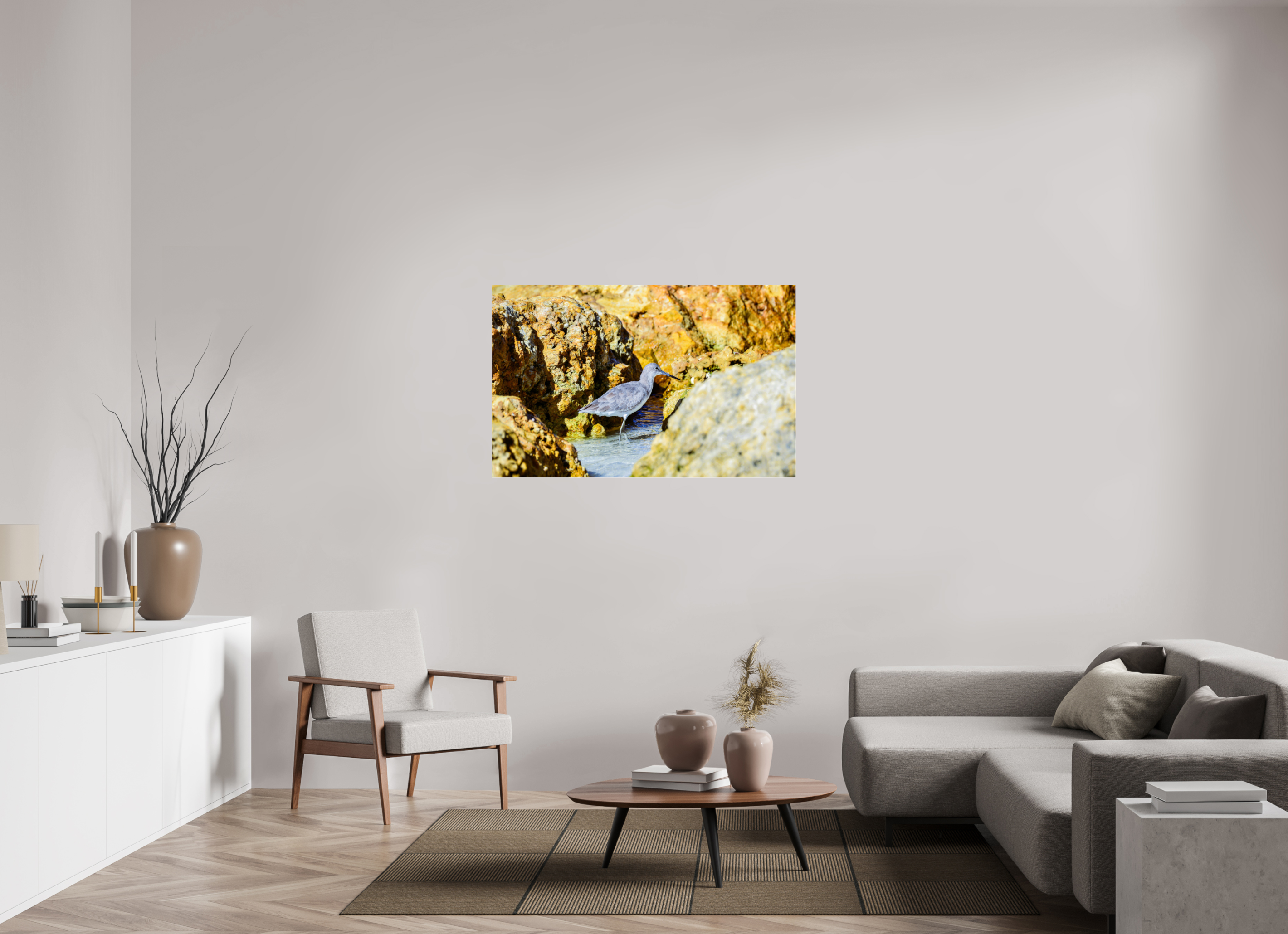 48.8 x 31″, Photo Print Under Acrylic Glass The Hiding Willet