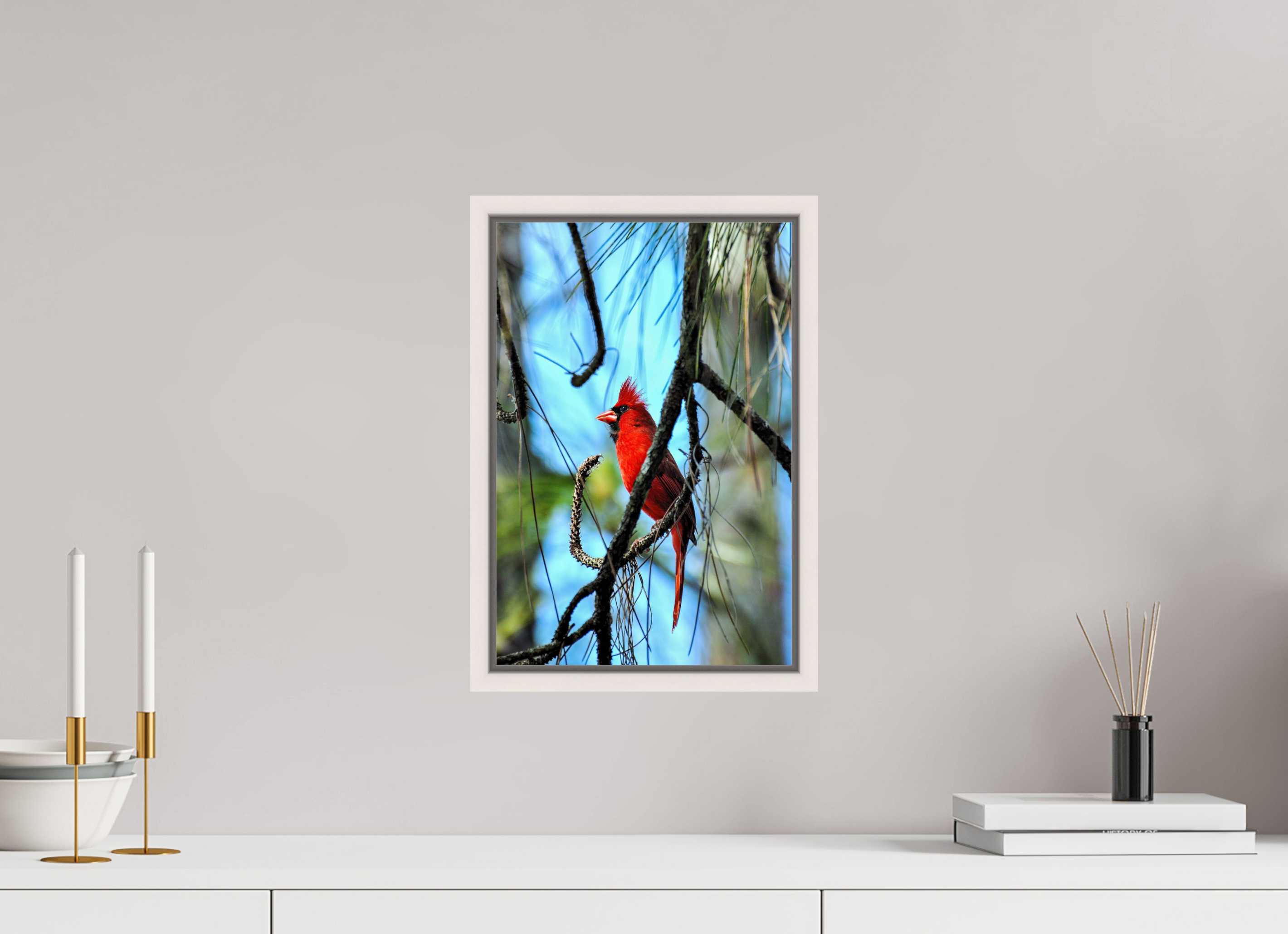 10 x 15″, Floater Frame, Basel 0.6", Maple White, Glossy Acrylic Glass The Corkscrew Cardinal