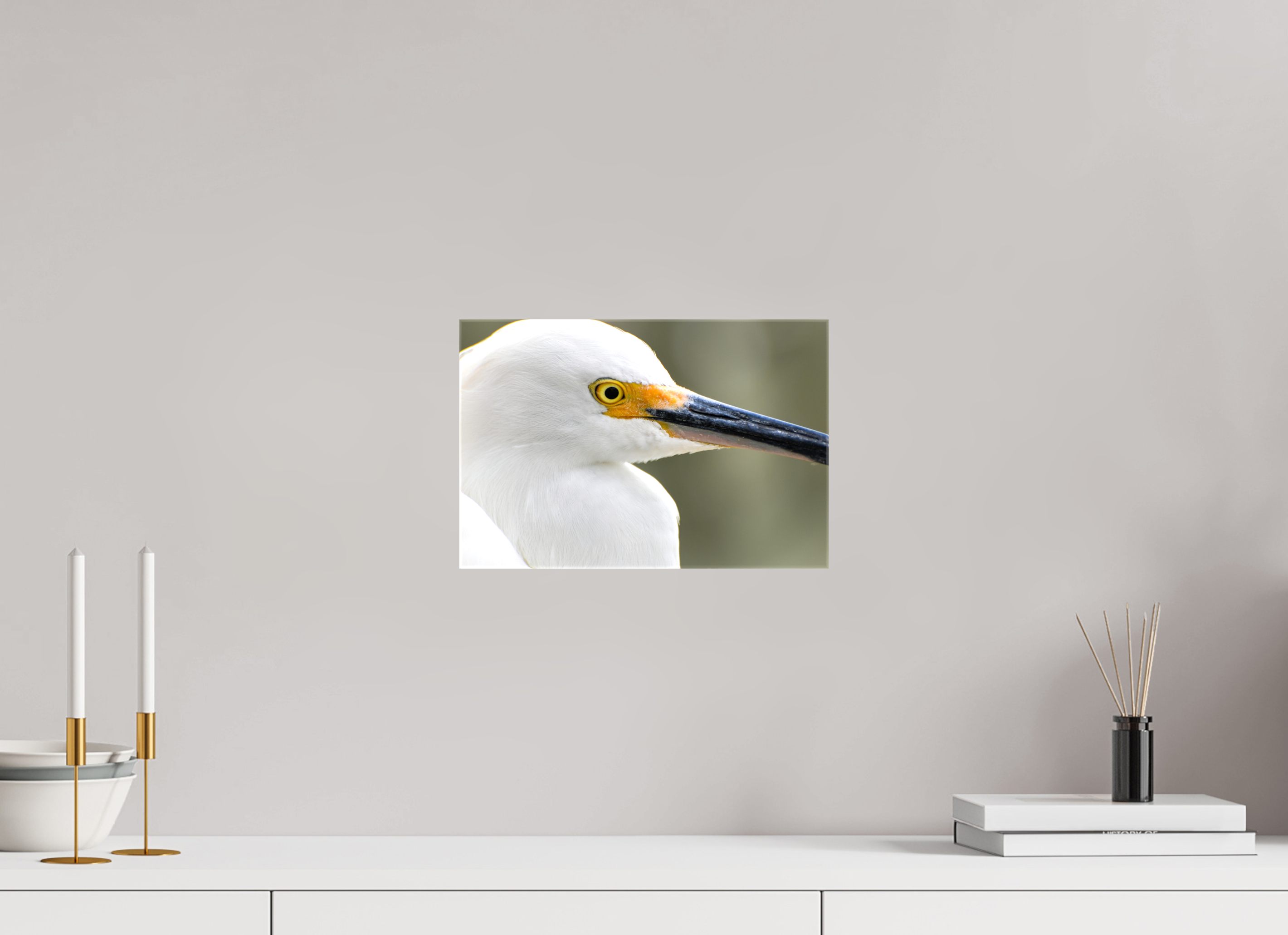 12 x 8″, Glossy Canvas on Stretcher Frame, 1,57" Wrapped The White Plume: Snowy Egret Portrait