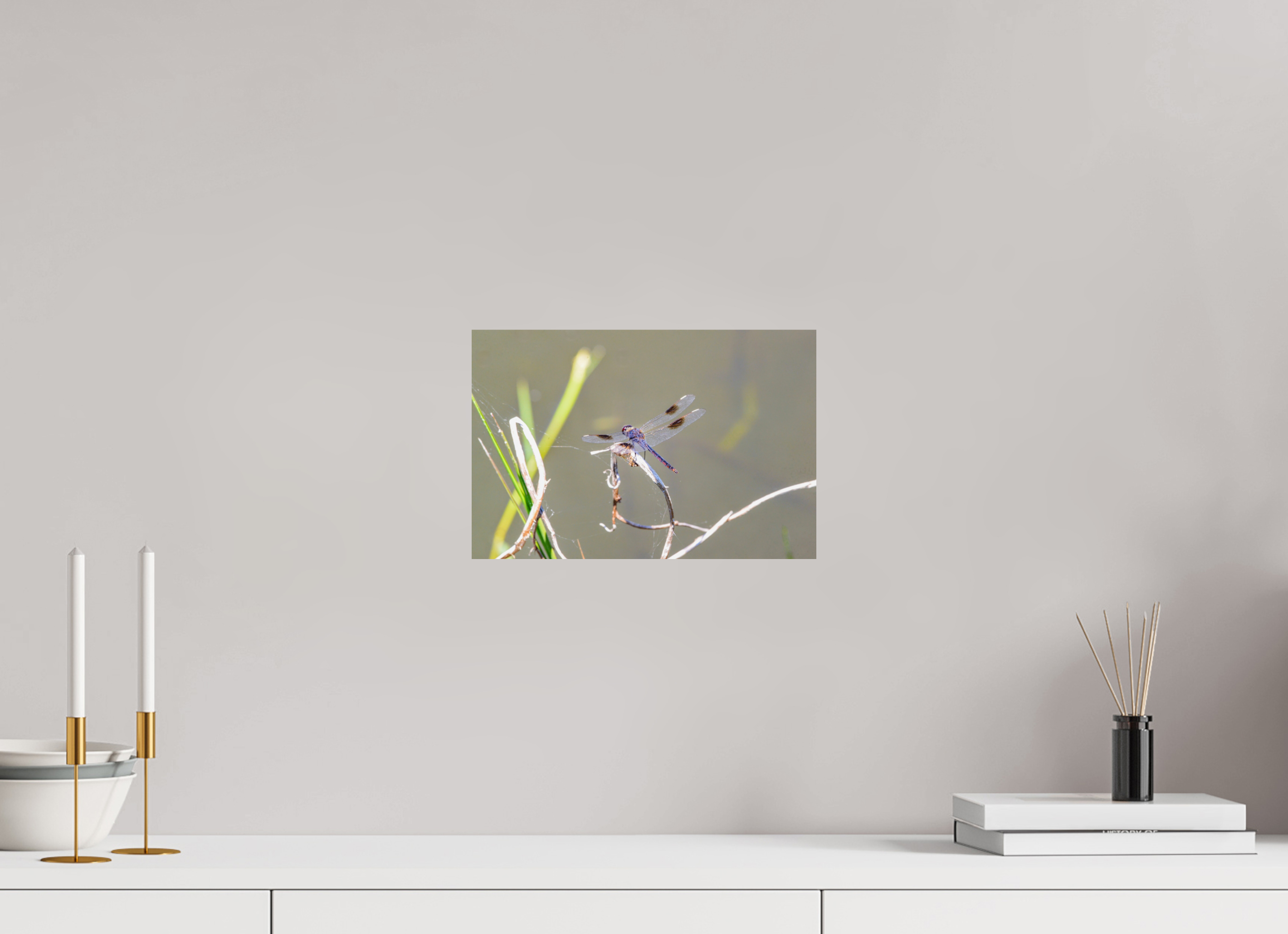 12 x 8″, Photo Print On Fuji Crystal DP II Pennant Dragonfly in the Marsh