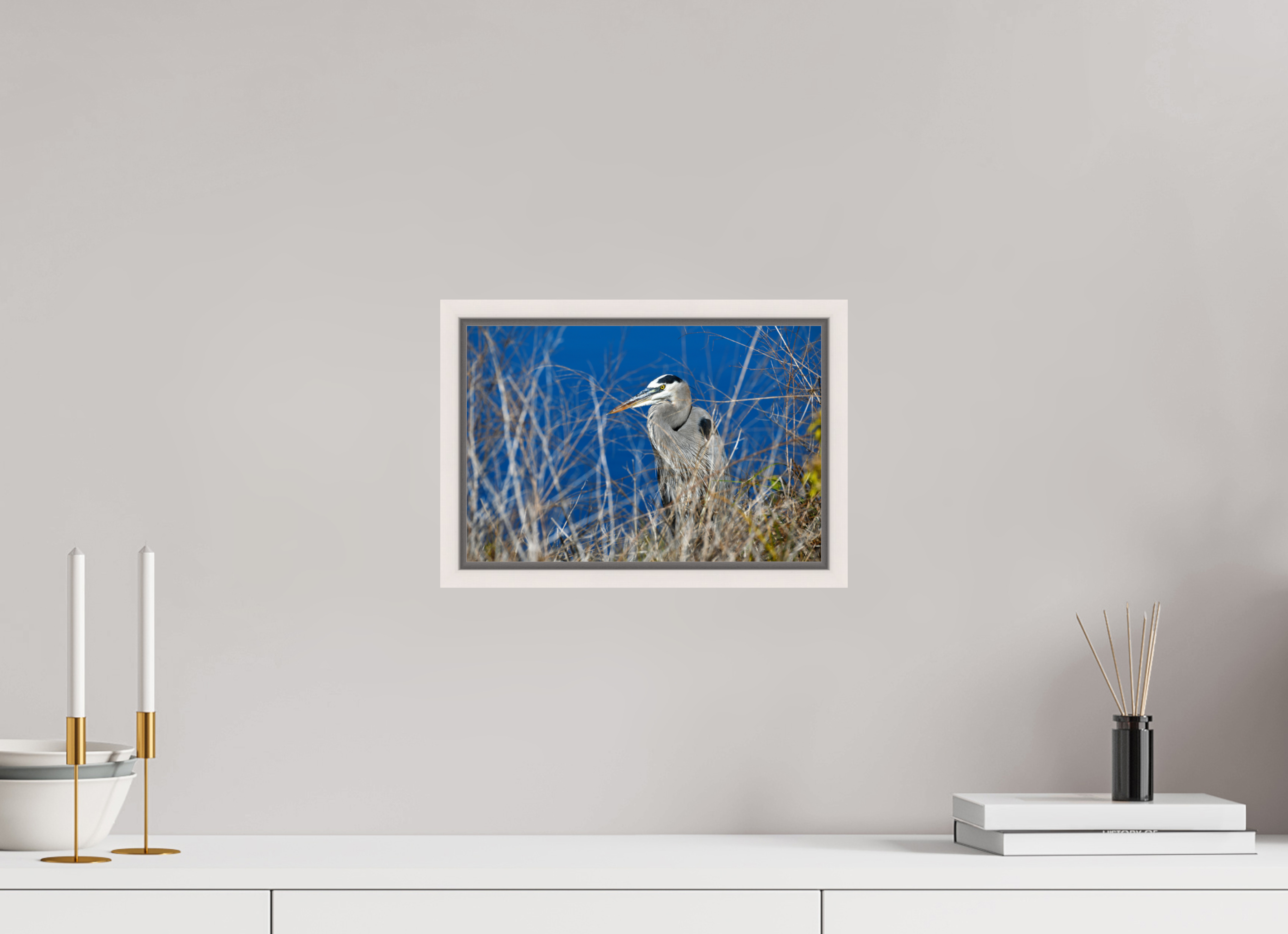 12 x 8″, Floater Frame, Basel 0.6", Maple White, Glossy Acrylic Glass Hidden Majesty: Great Blue Heron